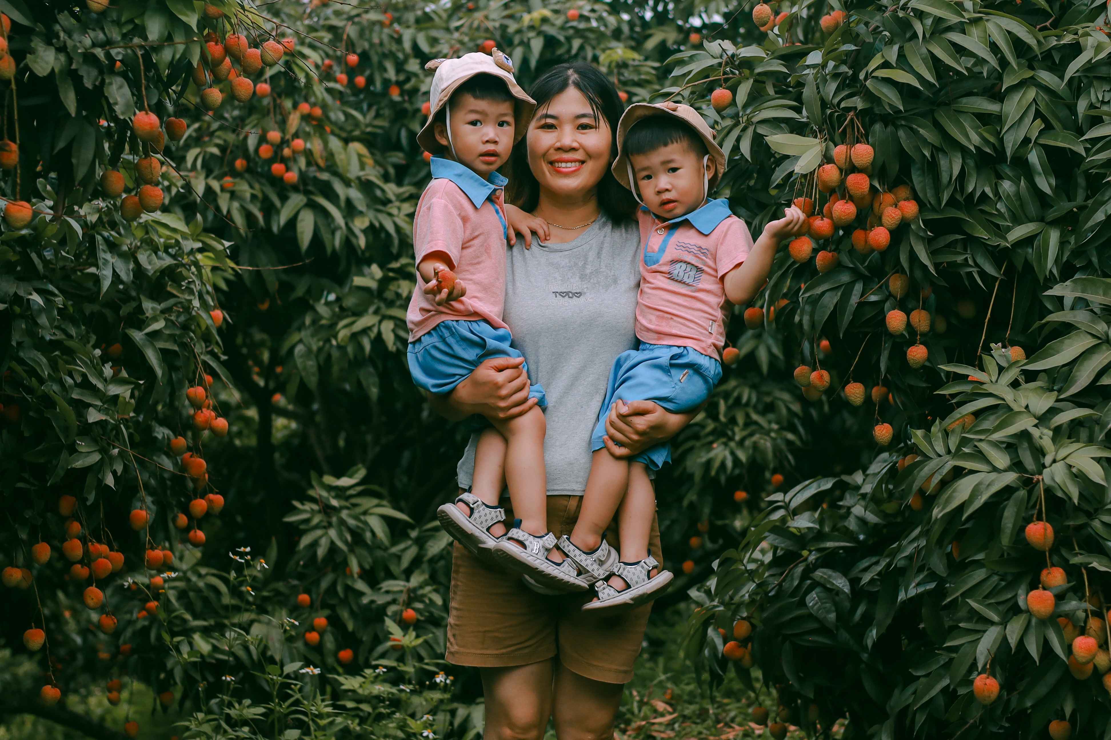 mua vai Bac Giang anh 4