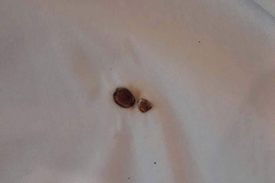 Khach hut thuoc chay dem, khach san Cua Lo yeu cau den 4,8 trieu dong hinh anh