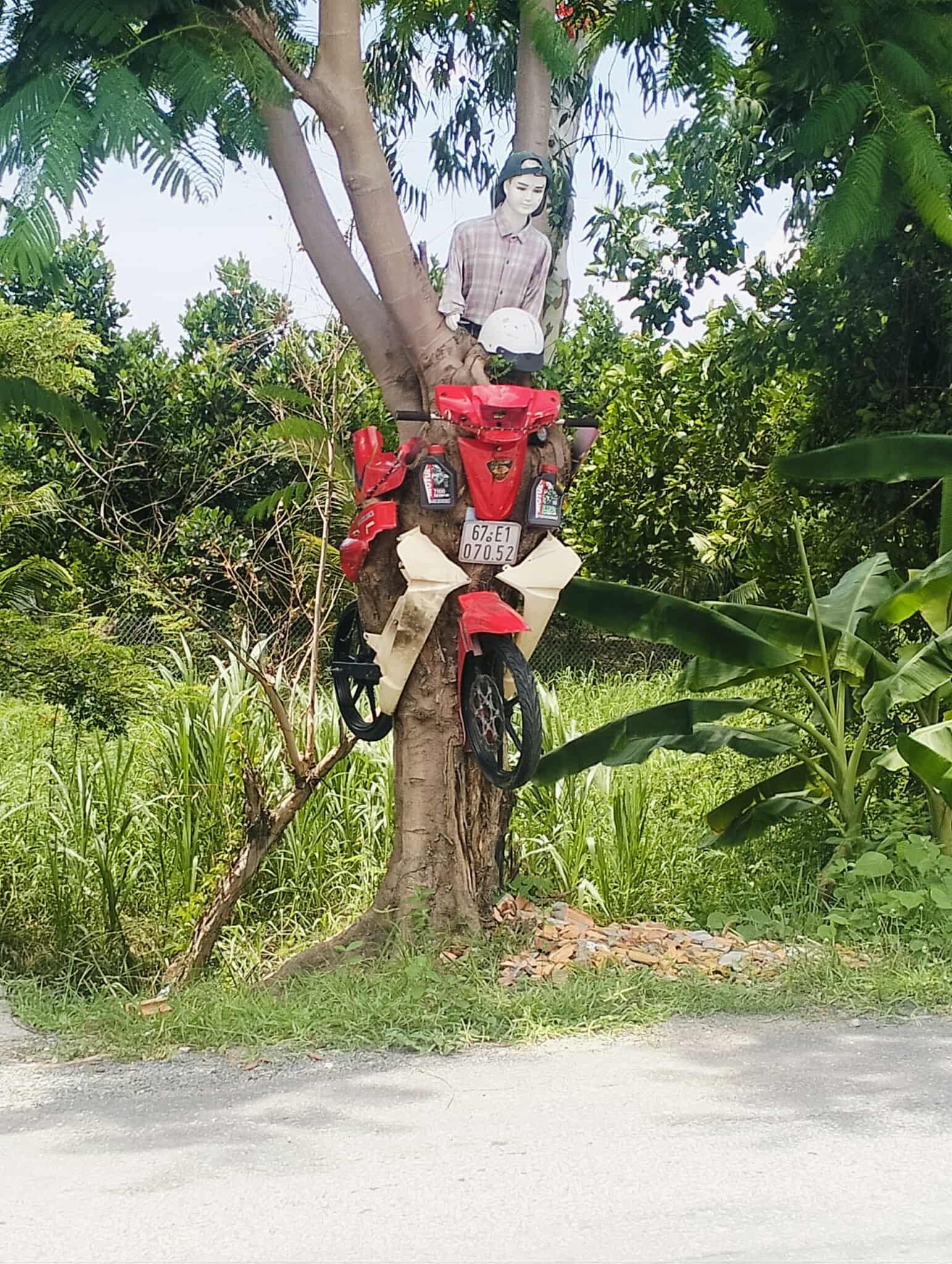 xe may xuyen cay anh 2