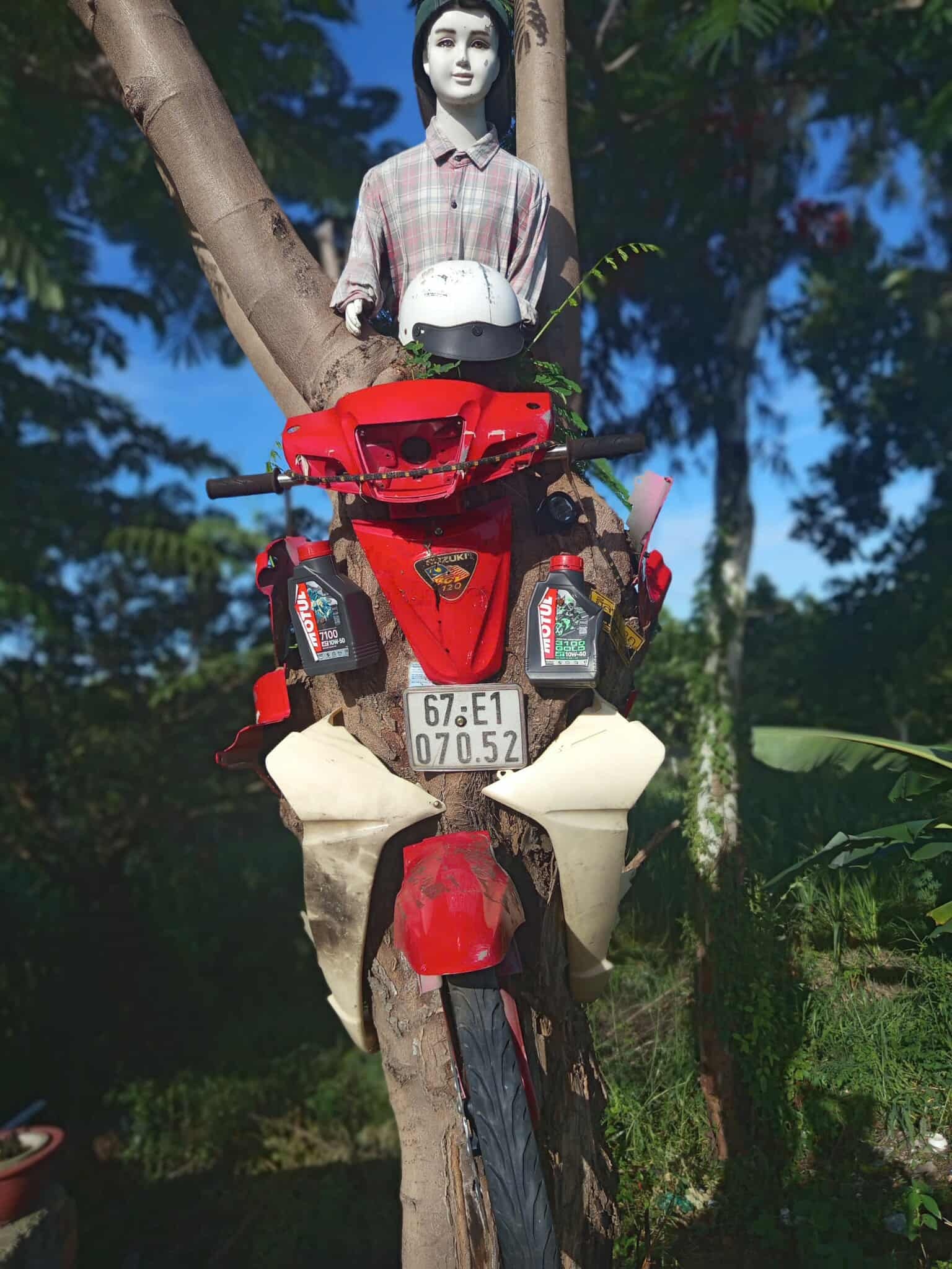 xe may xuyen cay anh 3