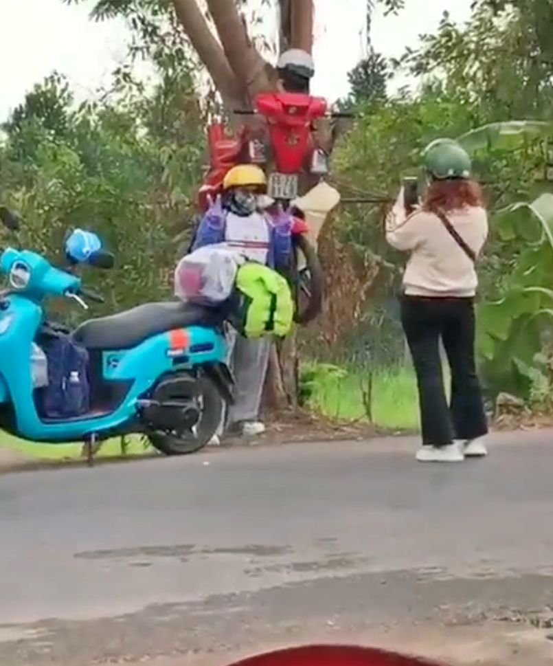 xe may xuyen cay anh 5