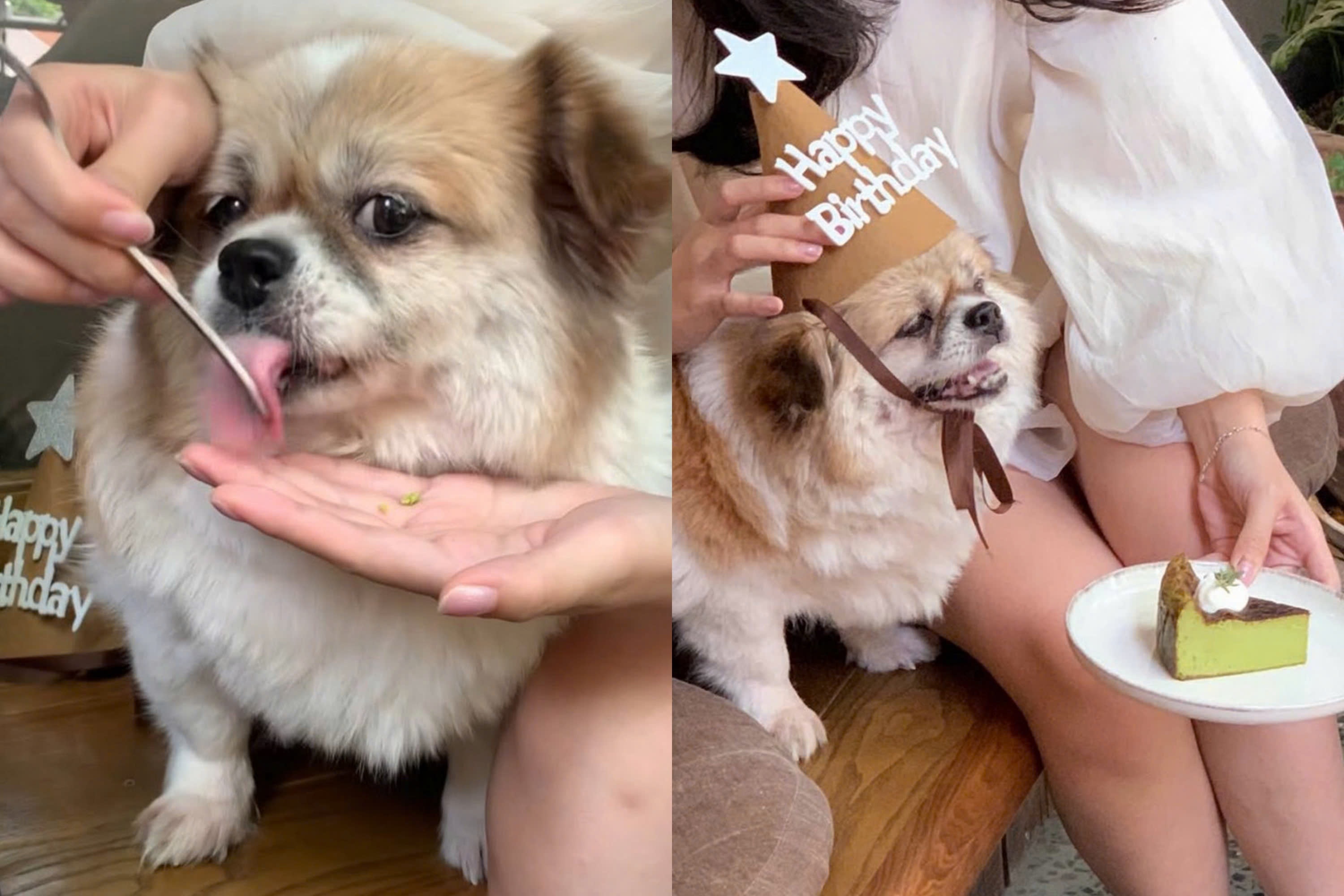 Quan ca phe Ha Noi xin loi sau vu de cho dung dia cua khach hinh anh