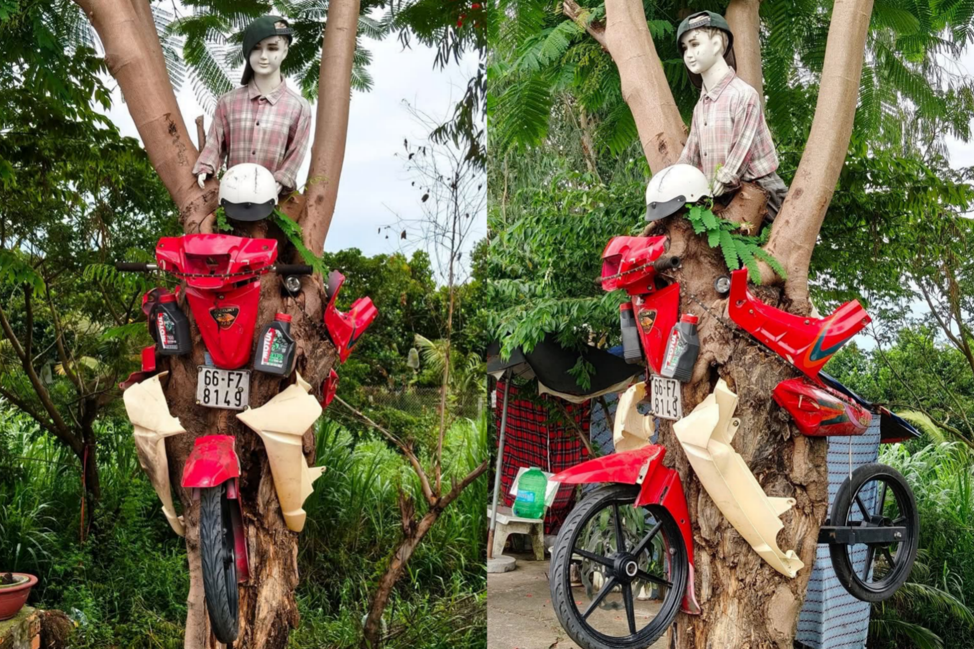 Nuom nuop check-in mo hinh 'xe may dam xuyen cay' o An Giang hinh anh