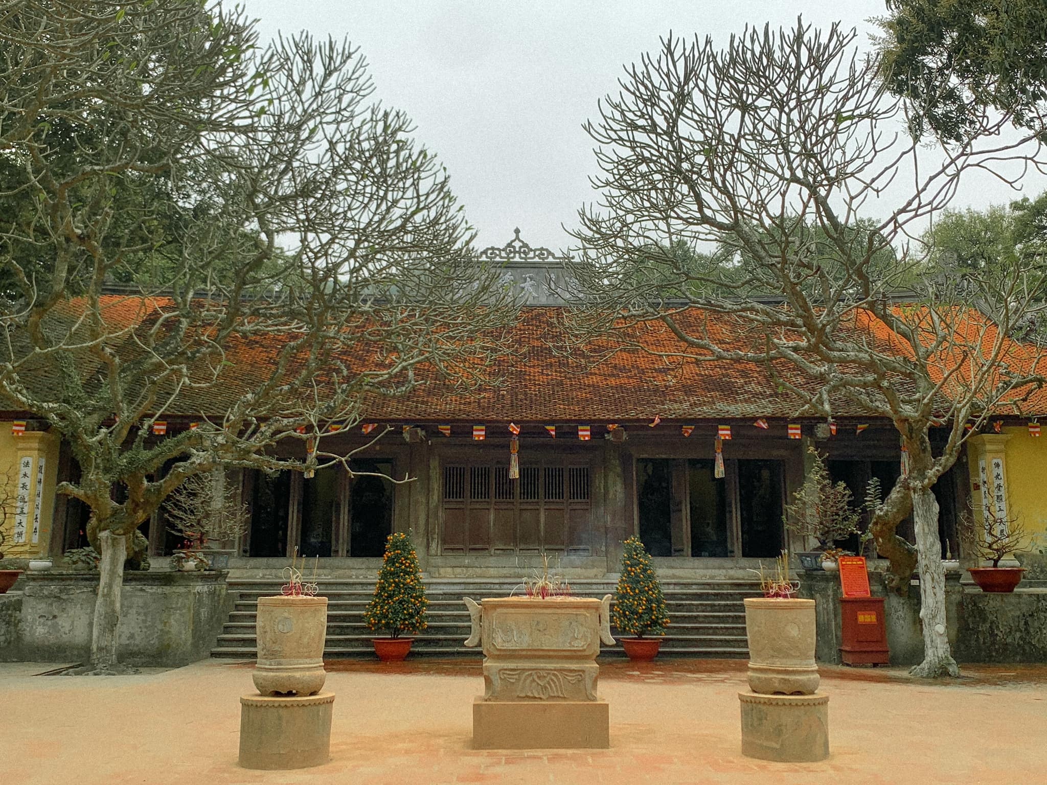Di san The gioi anh 3