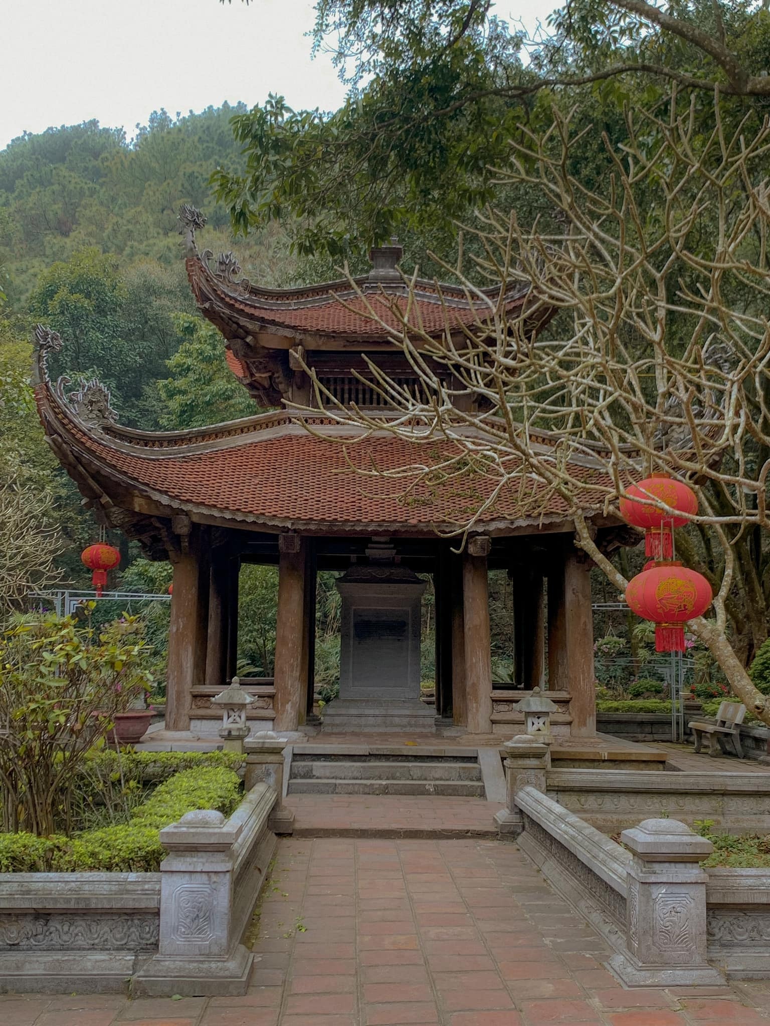 Di san The gioi anh 5