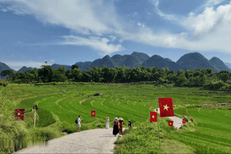 Canh co do sao vang giua dong lua dang 'hot' nhat Pu Luong hinh anh