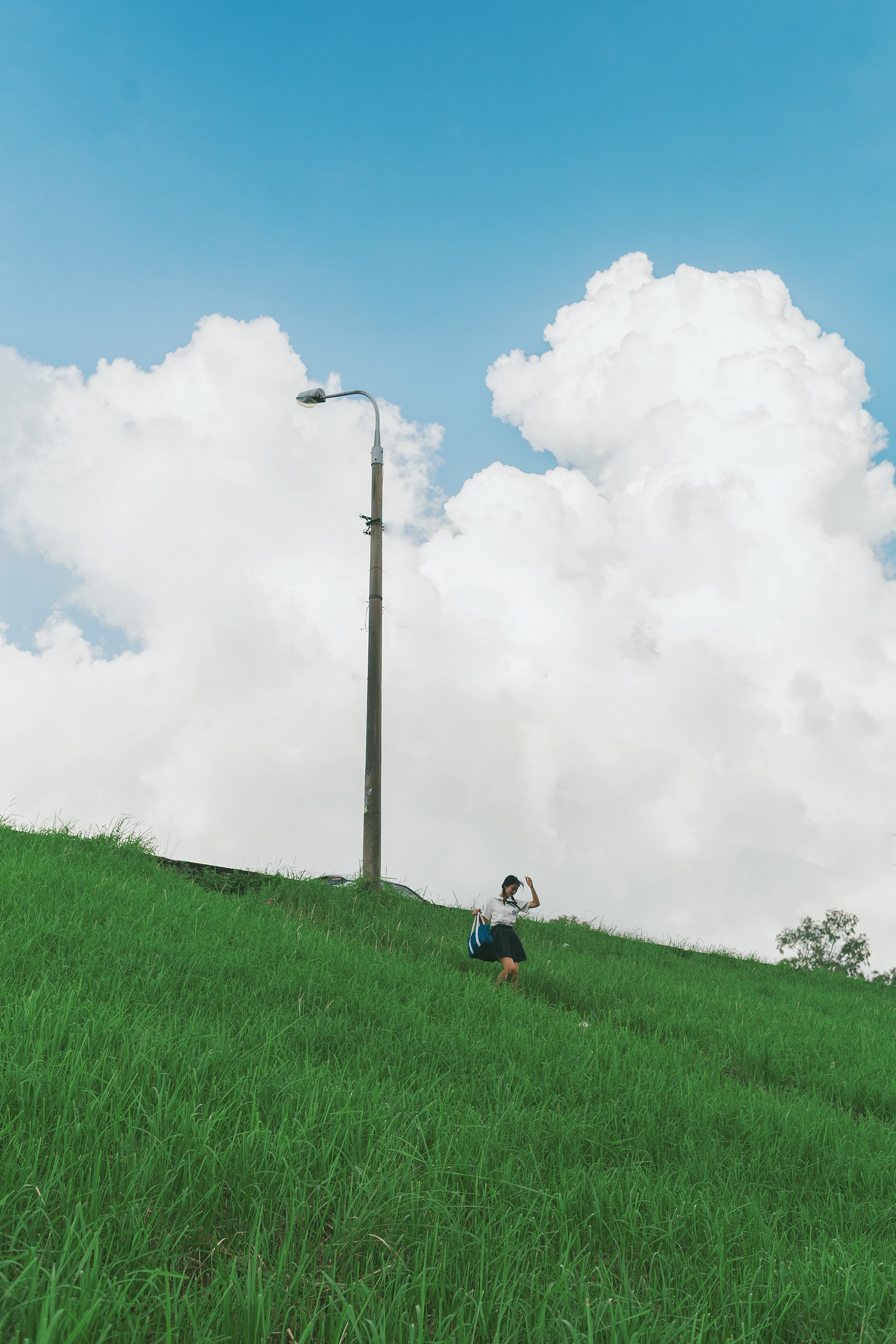 co lau Long Bien anh 4