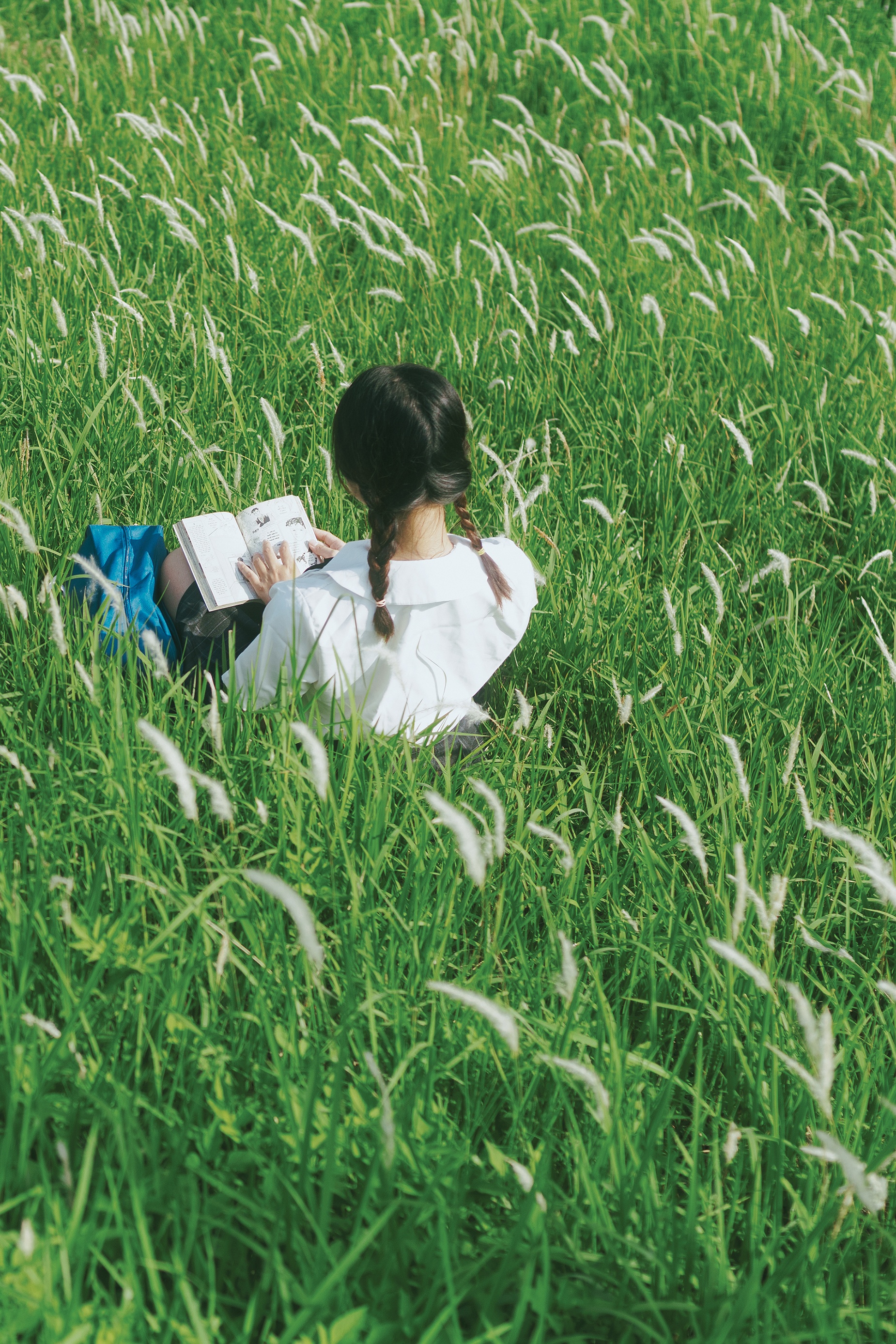 co lau Long Bien anh 10