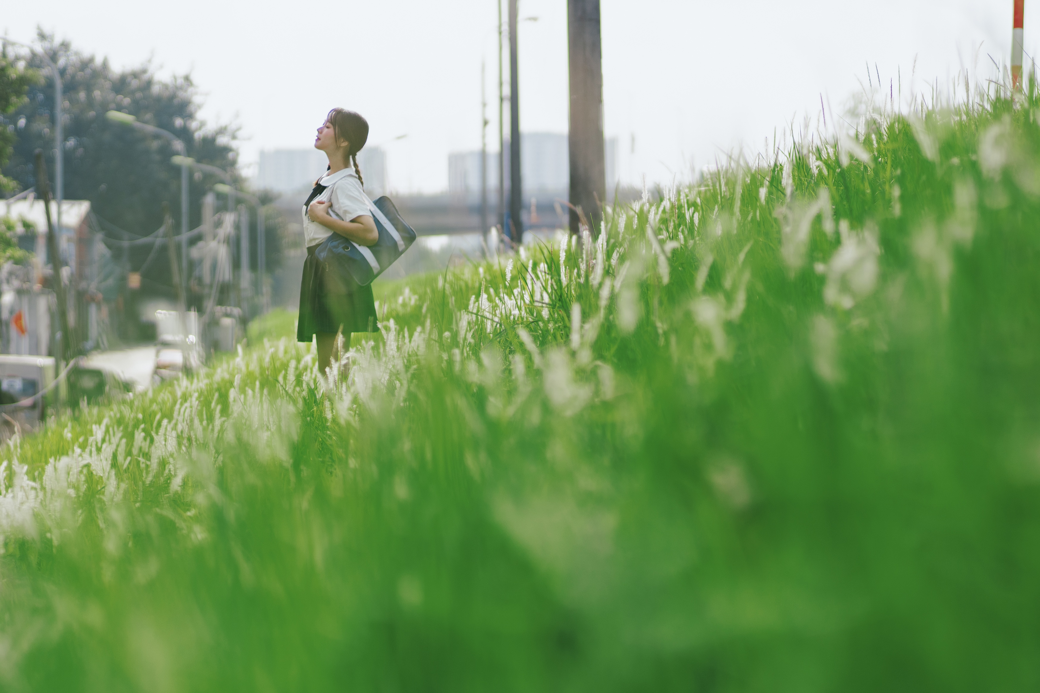 co lau Long Bien anh 5