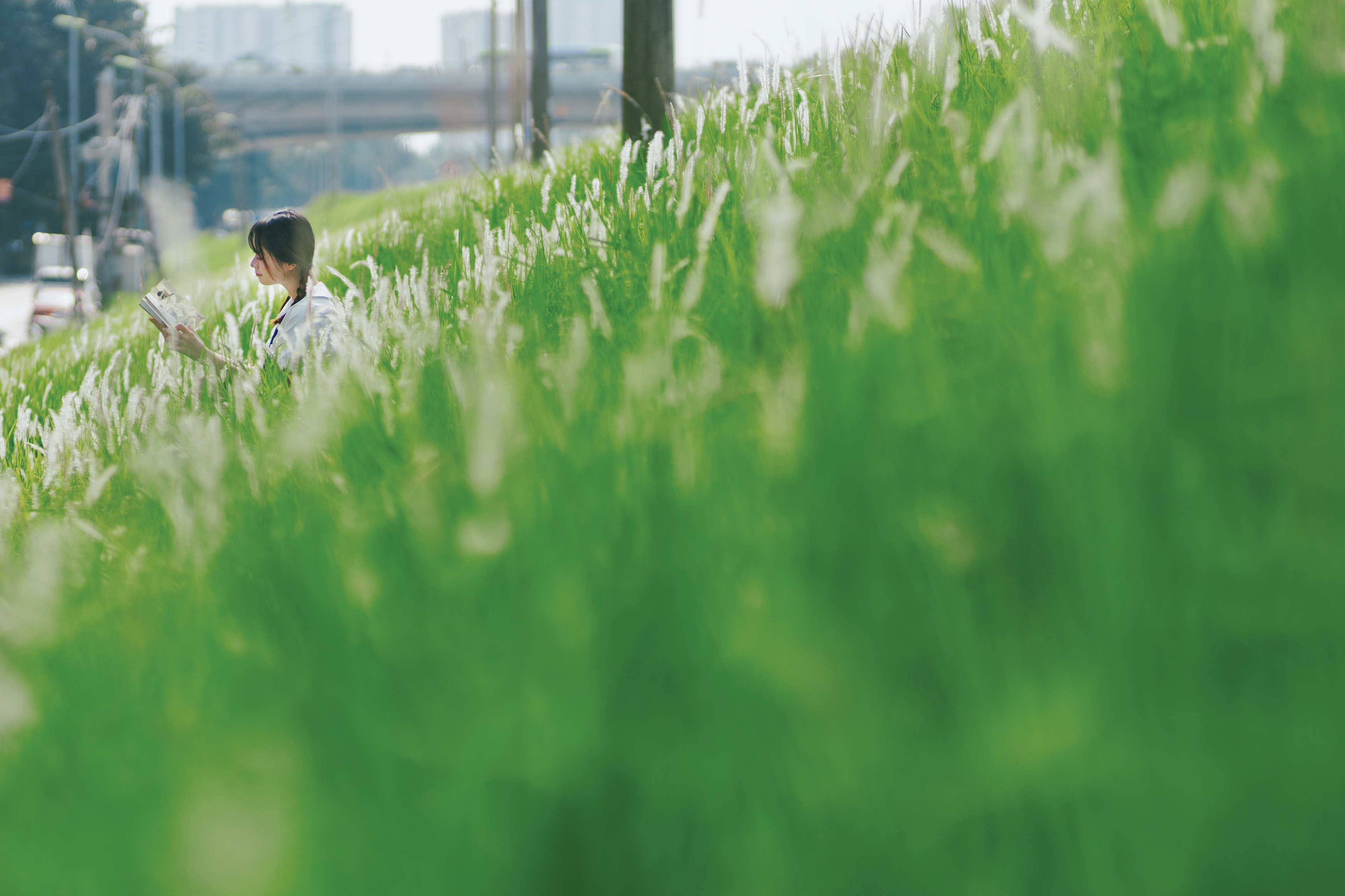 co lau Long Bien anh 9