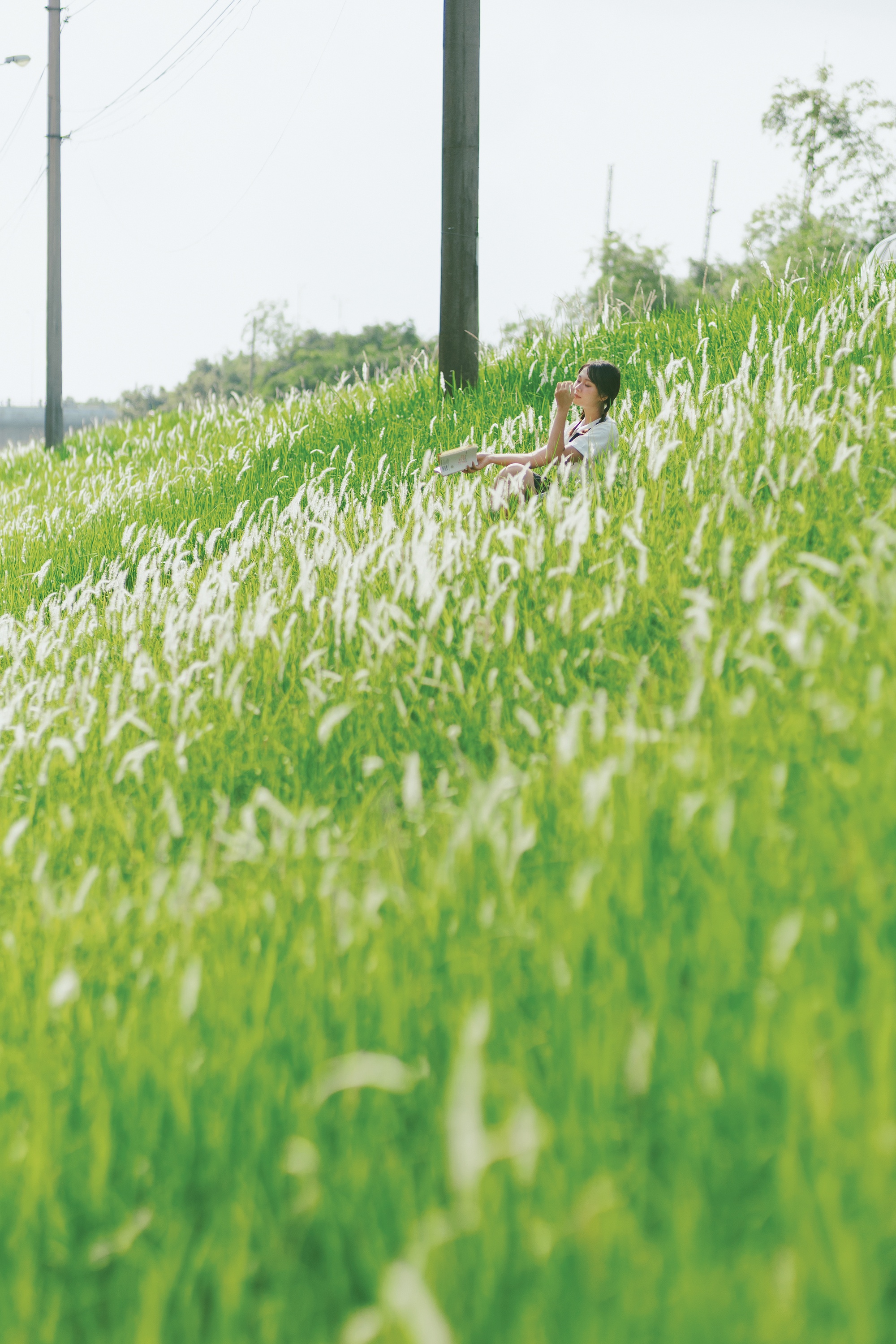 co lau Long Bien anh 11