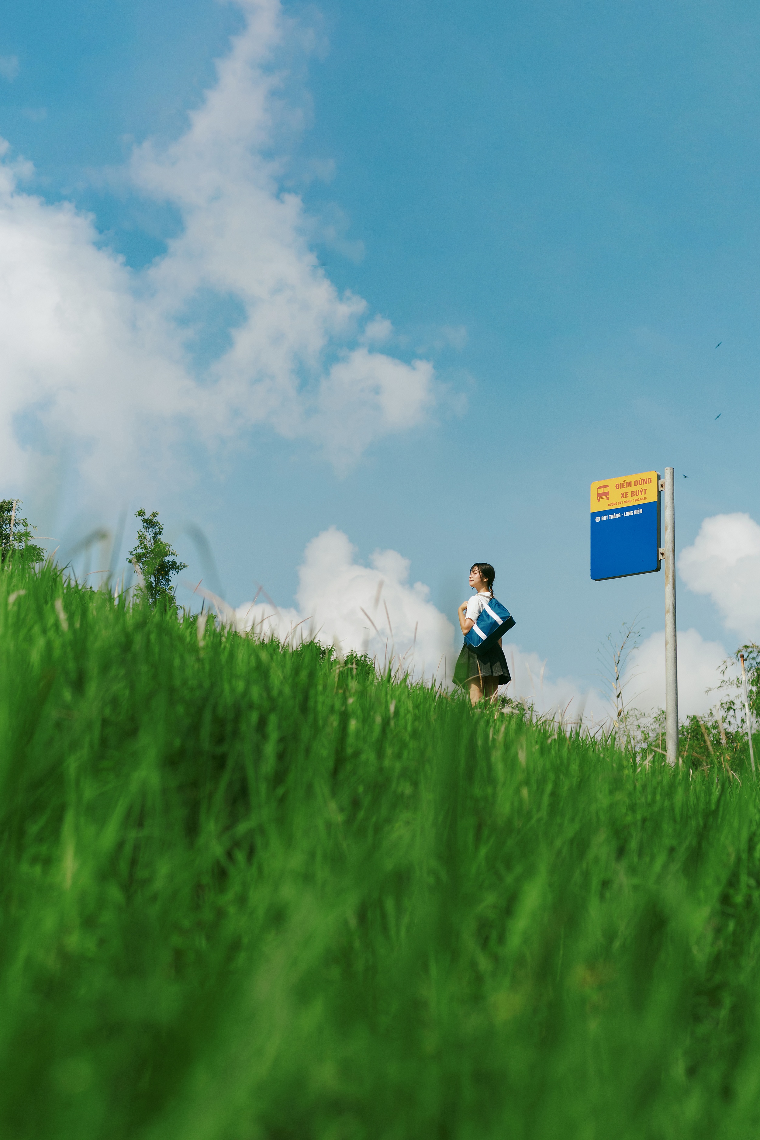 co lau Long Bien anh 3