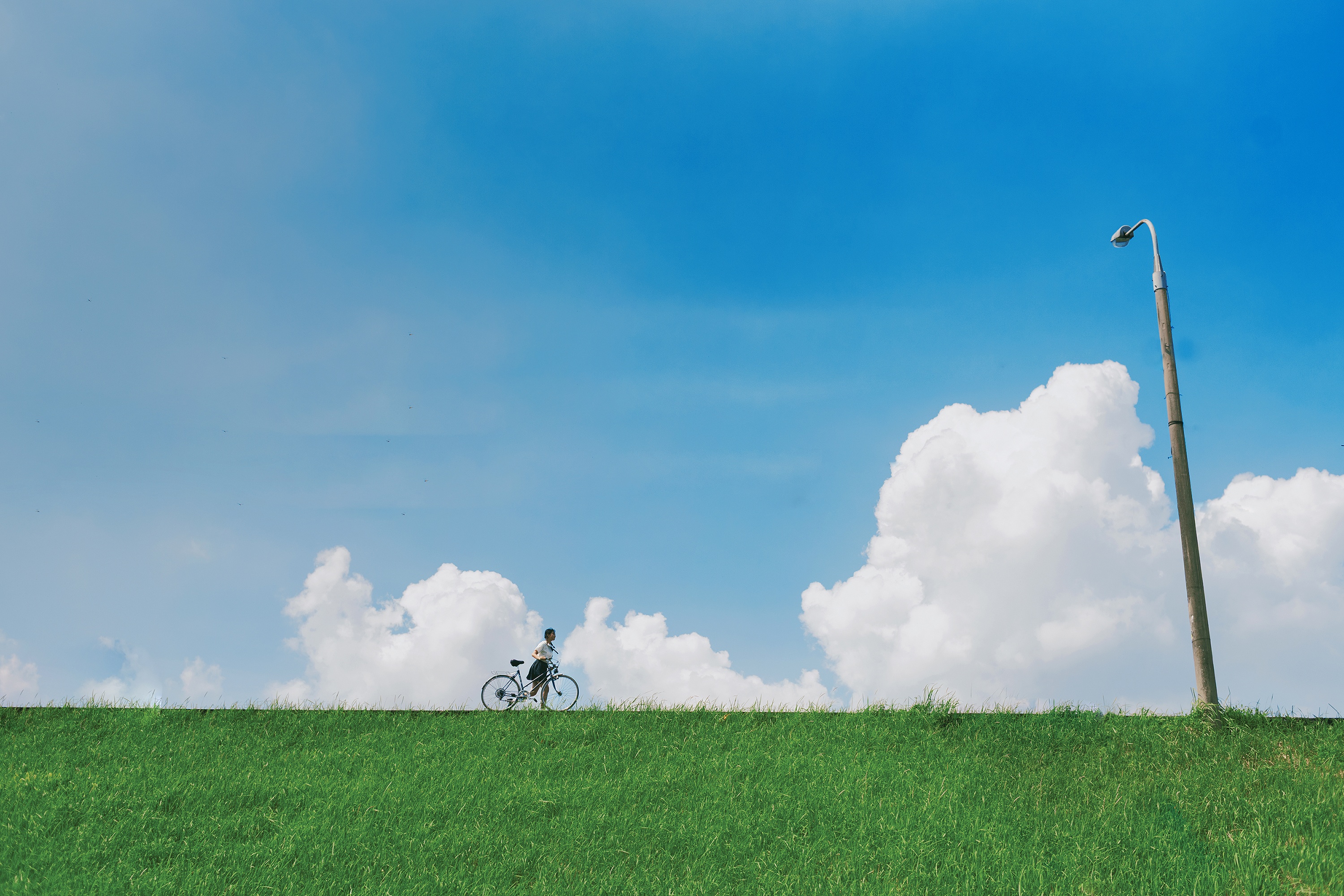 Trong nhu anime nhung la Ha Noi hinh anh