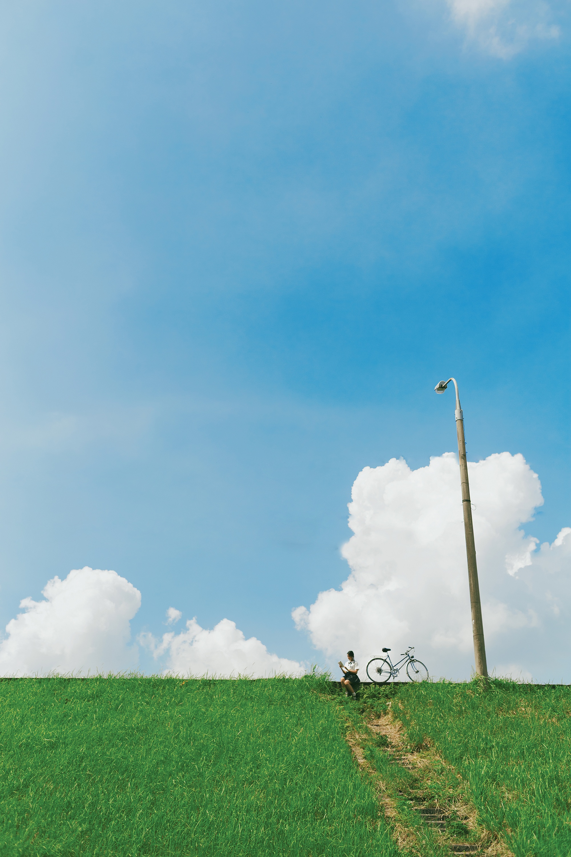 co lau Long Bien anh 13