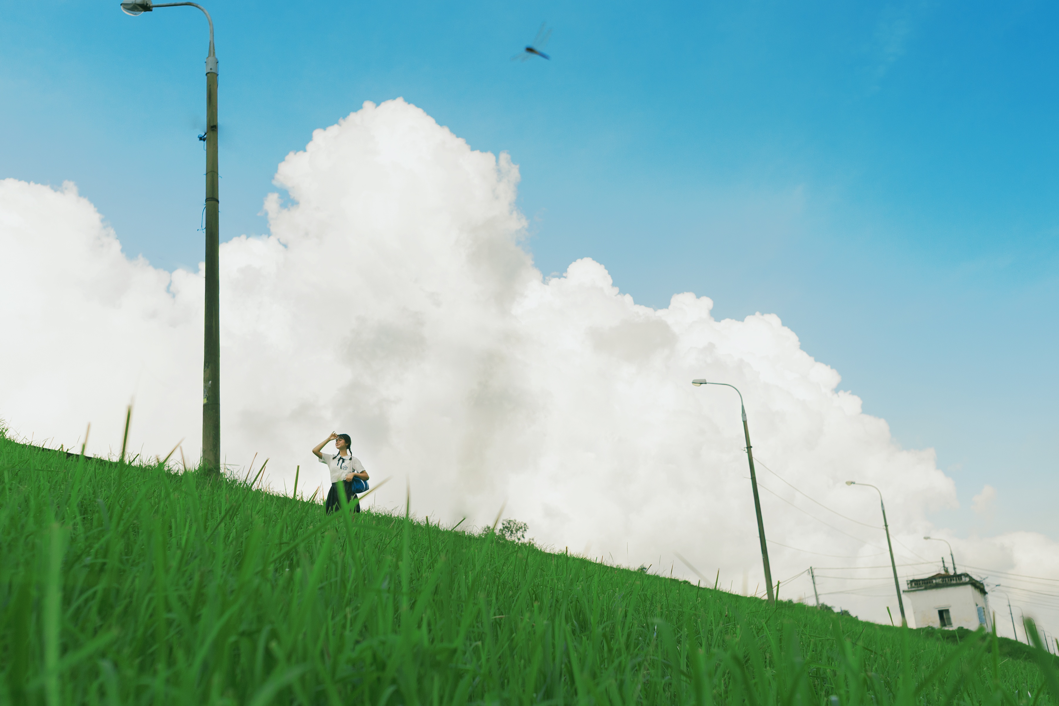 co lau Long Bien anh 2