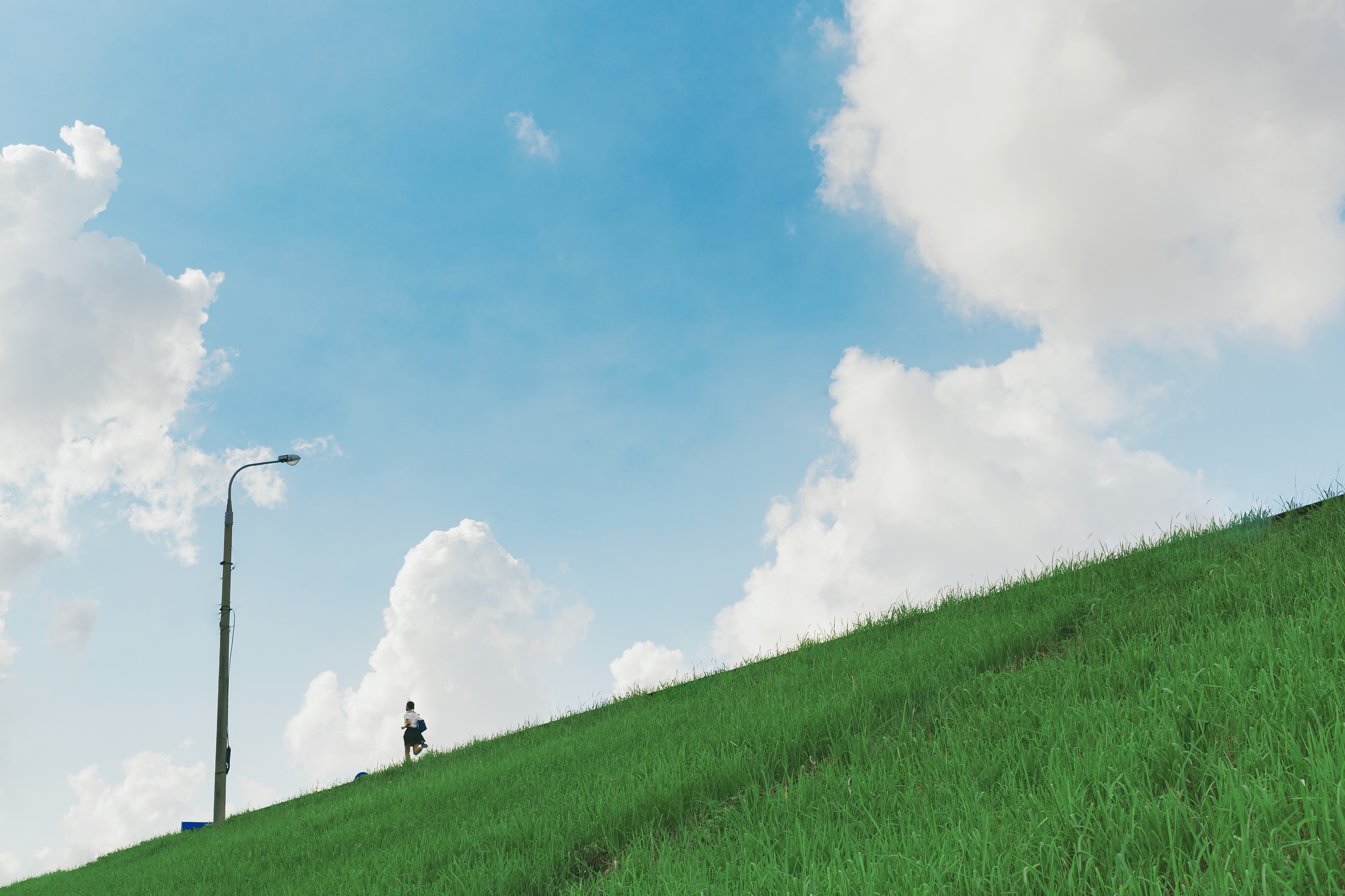 co lau Long Bien anh 8