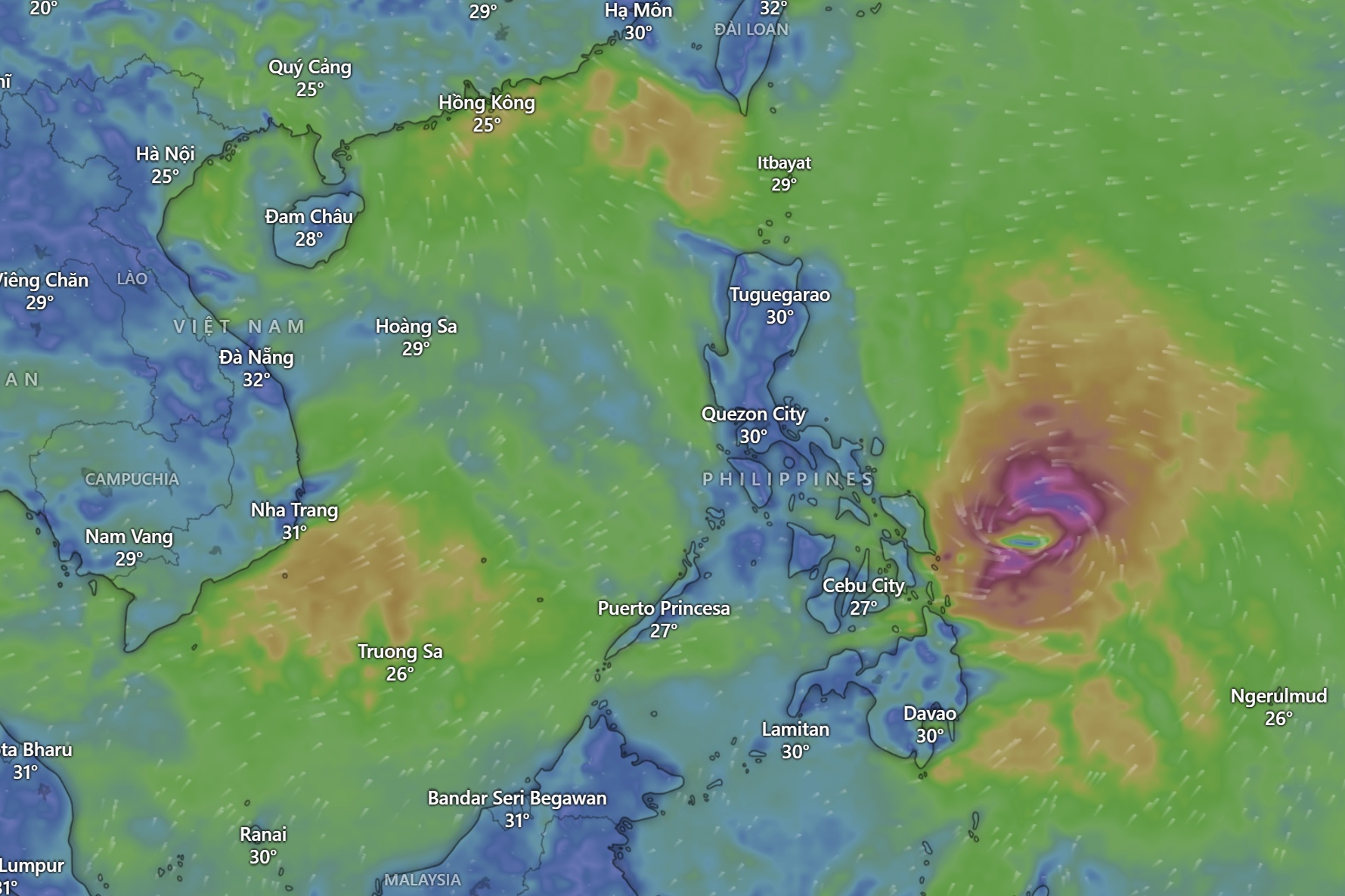 Bao Bualoi manh len cap 12, dem 26/9 di vao Bien Dong hinh anh