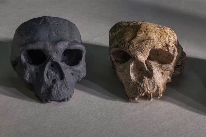 Hop so 1 trieu nam o Trung Quoc 'viet lai lich su tien hoa loai nguoi' hinh anh