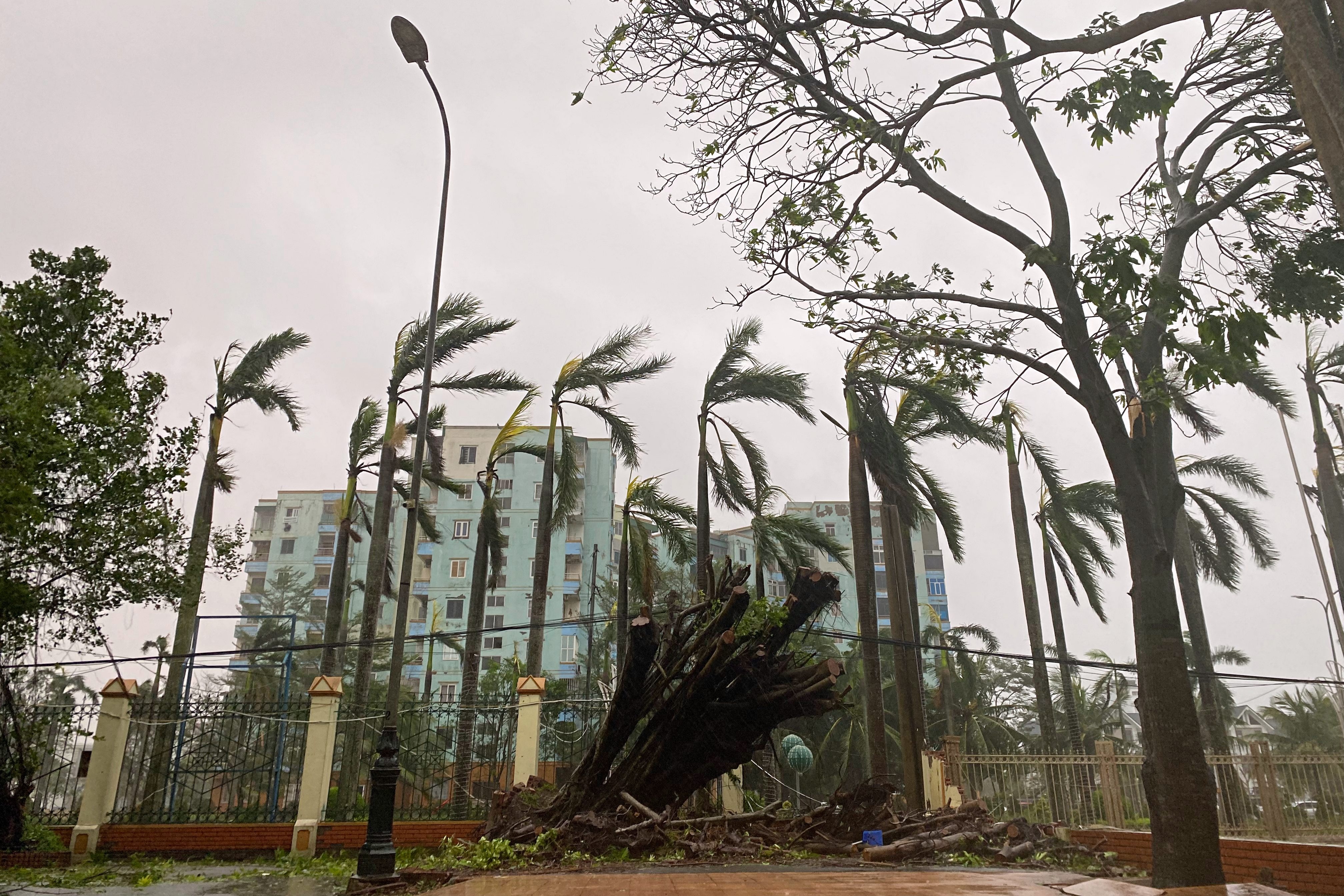 Canh tan hoang sau dem quan thao cua bao so 10 hinh anh