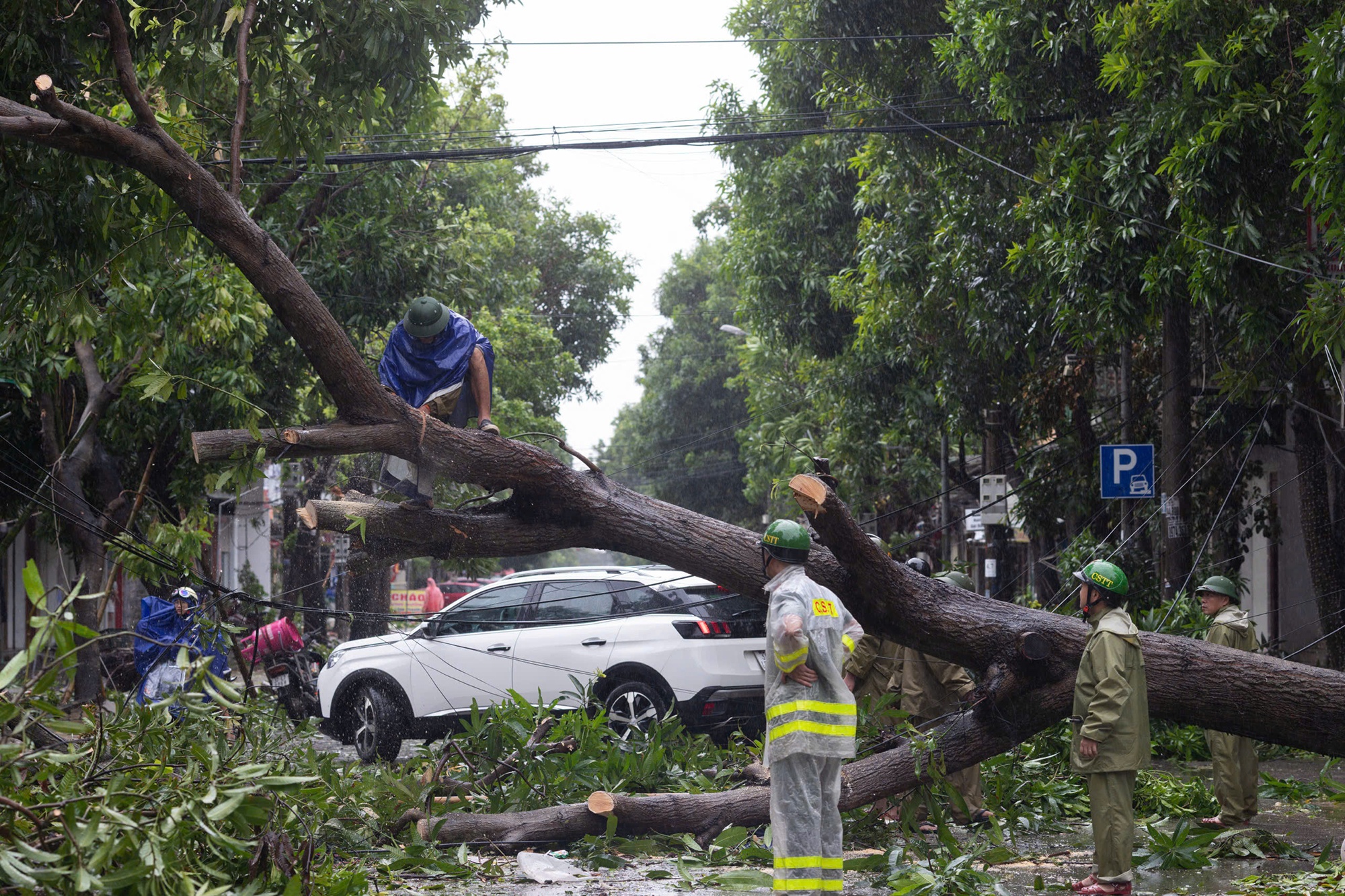 Thanh Vinh tan hoang, cuoc song nguoi dan dao lon do mat dien hinh anh