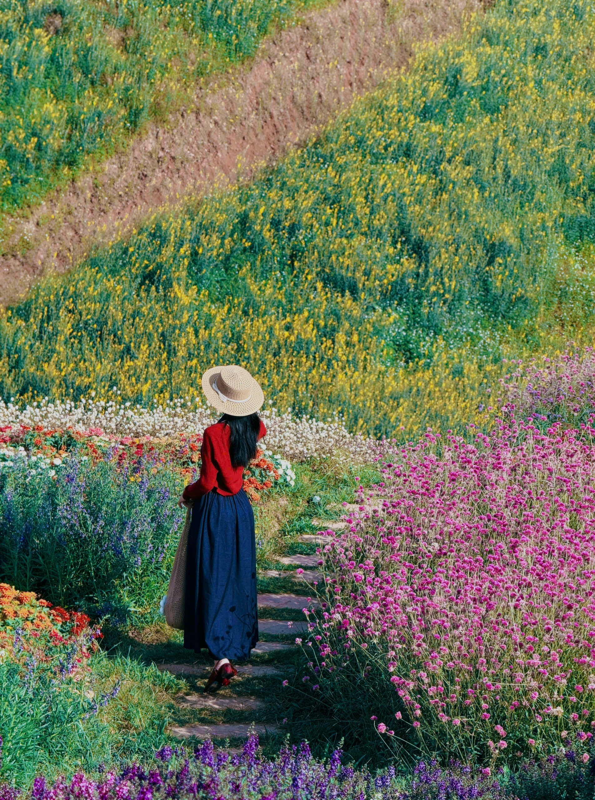 thung lũng hoa ảnh 7 thung lung hoa anh 7