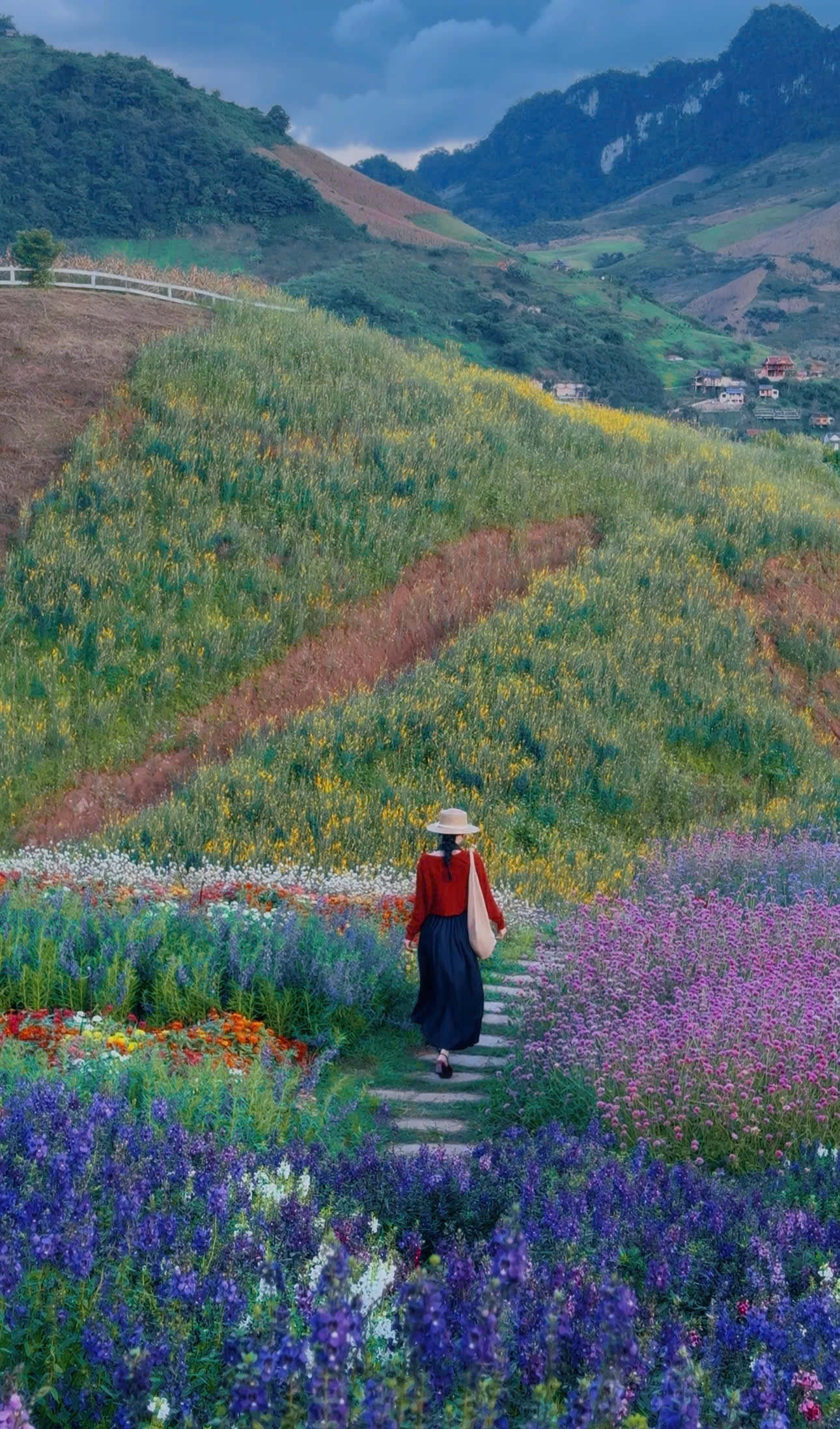 thung lũng hoa ảnh 4 thung lung hoa anh 4