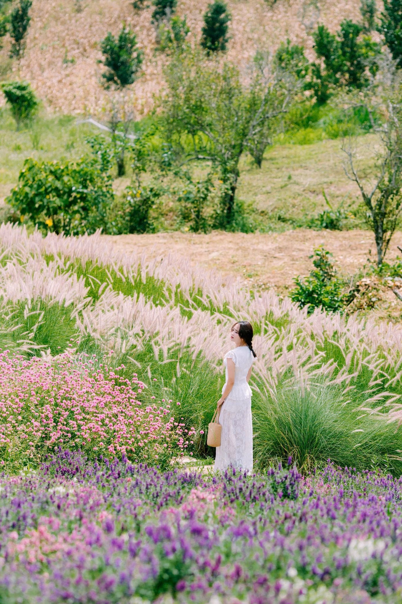 thung lũng hoa ảnh 17 thung lung hoa anh 17