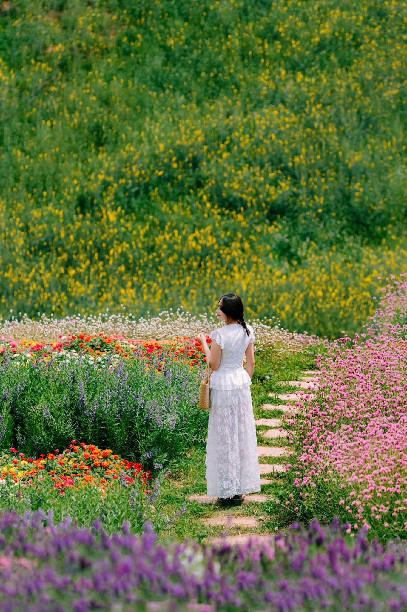 thung lũng hoa ảnh 18 thung lung hoa anh 18