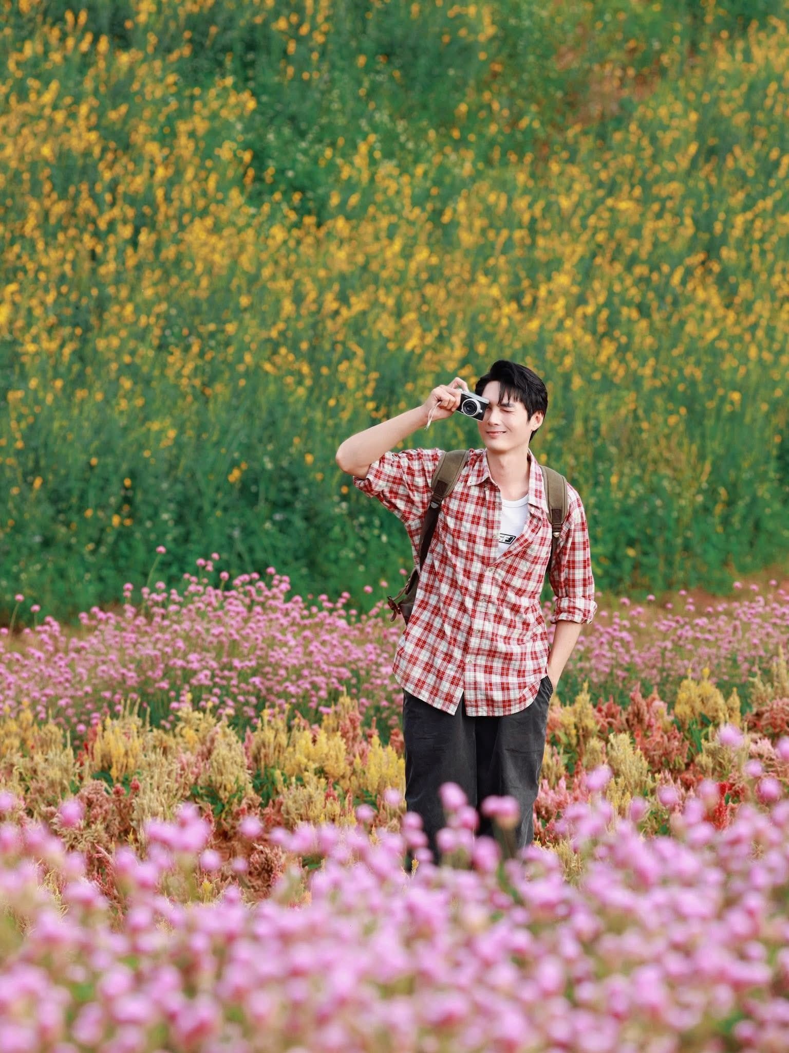 thung lũng hoa ảnh 14 thung lung hoa anh 14