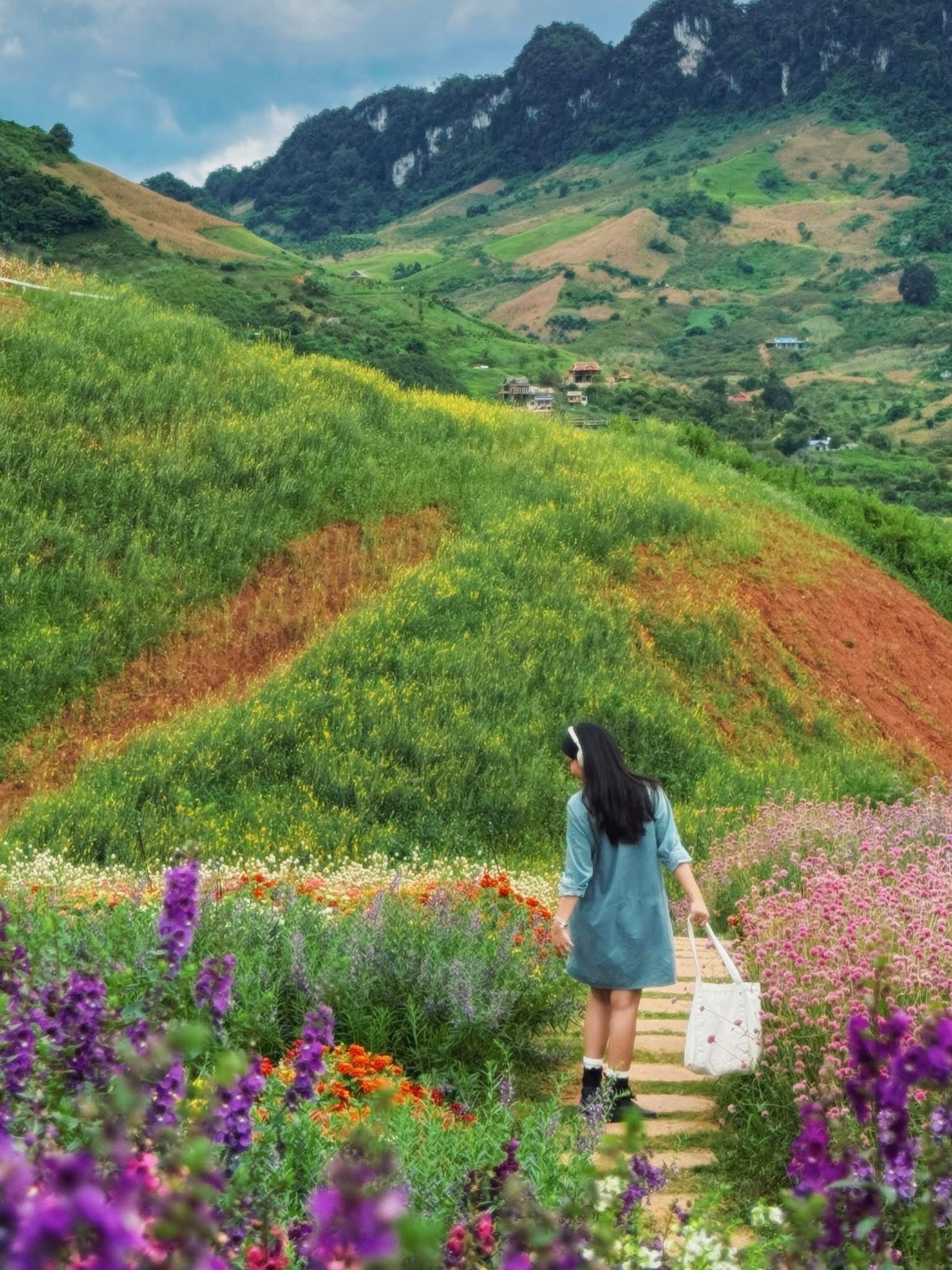 thung lũng hoa ảnh 10 thung lung hoa anh 10