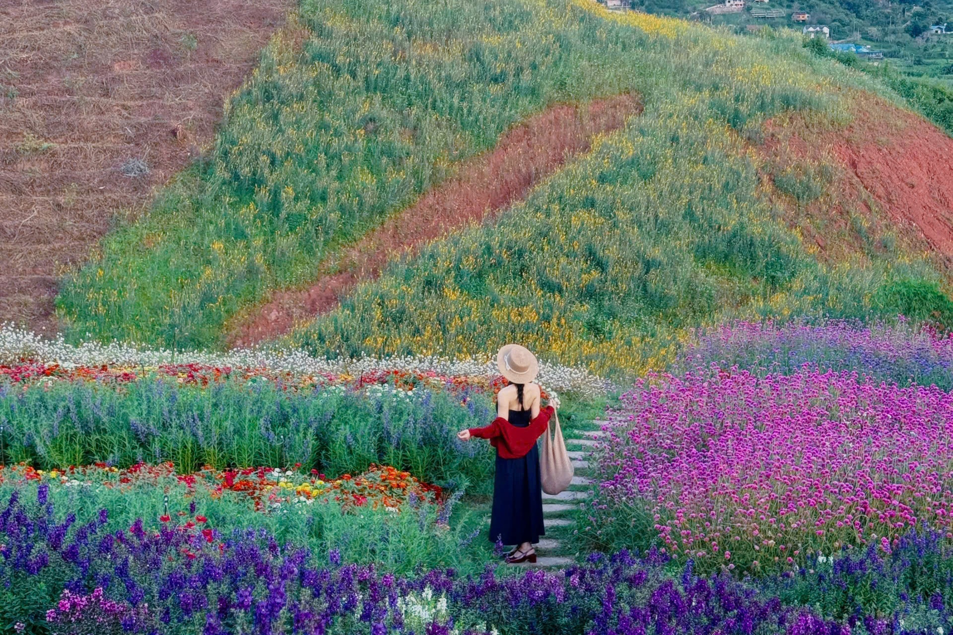 Trong nhu Thuy Si nhung la quan ca phe o Moc Chau hinh anh