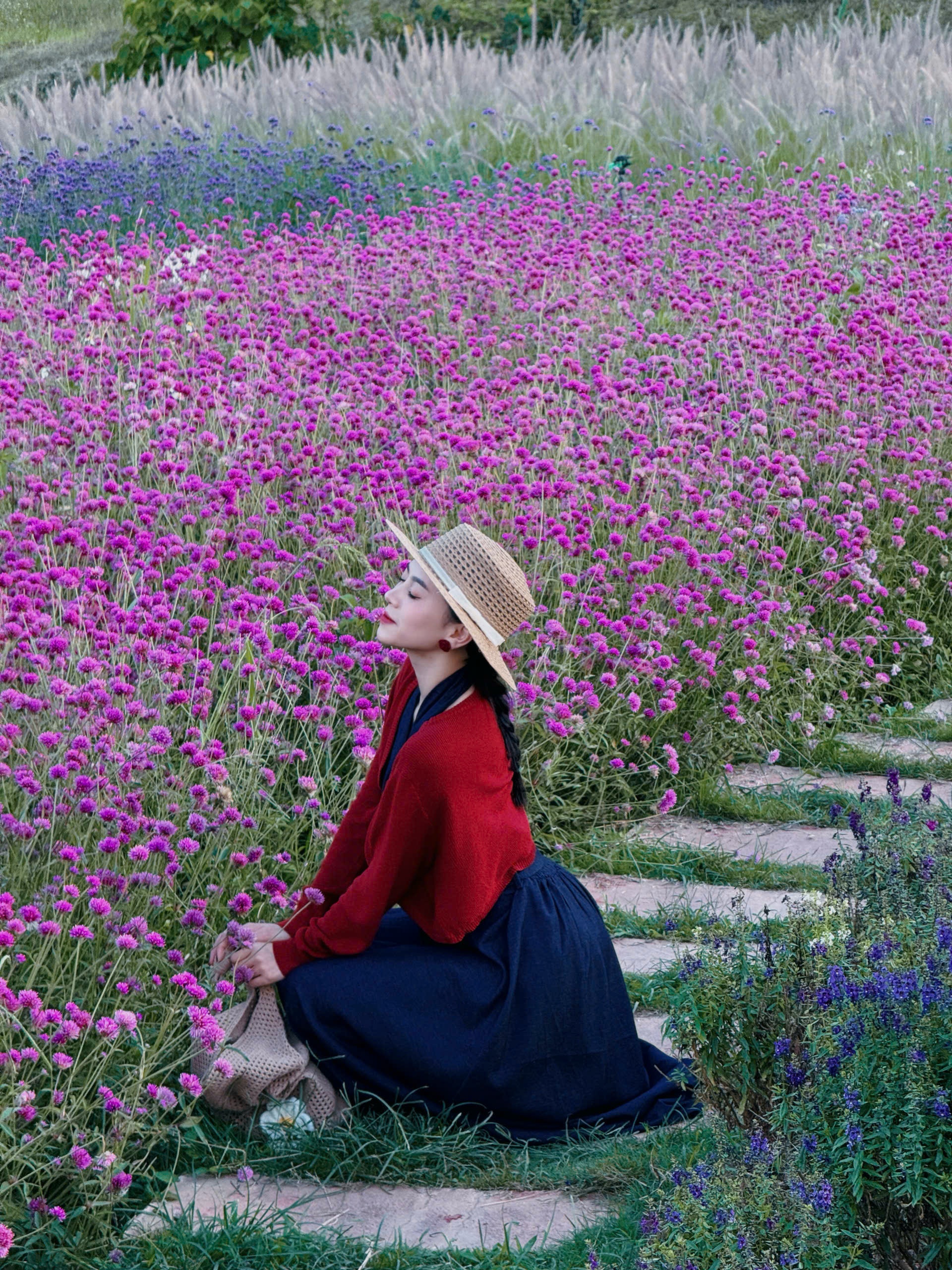 thung lũng hoa ảnh 8 thung lung hoa anh 8