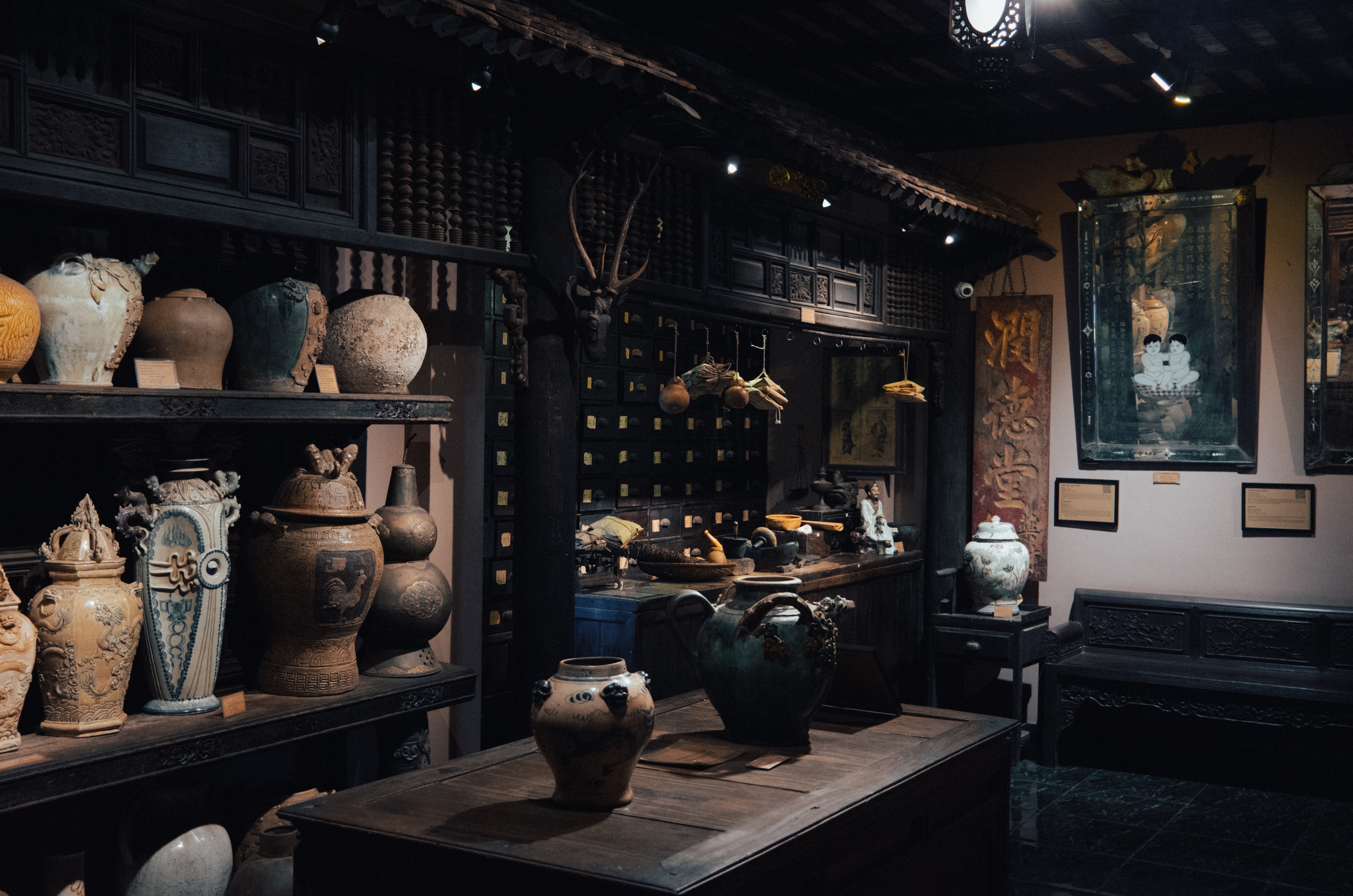 FITO Museum anh 14