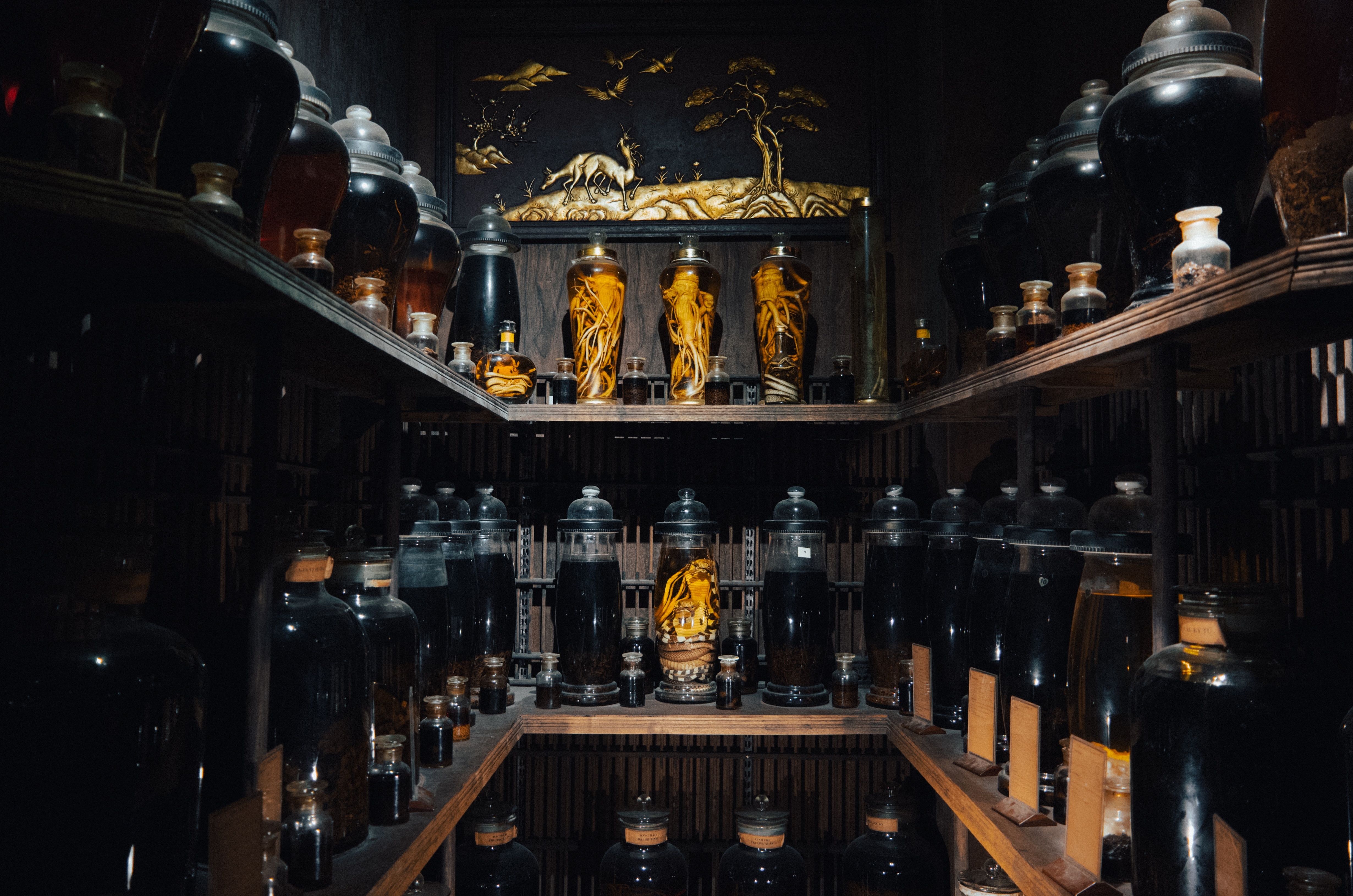 FITO Museum anh 15