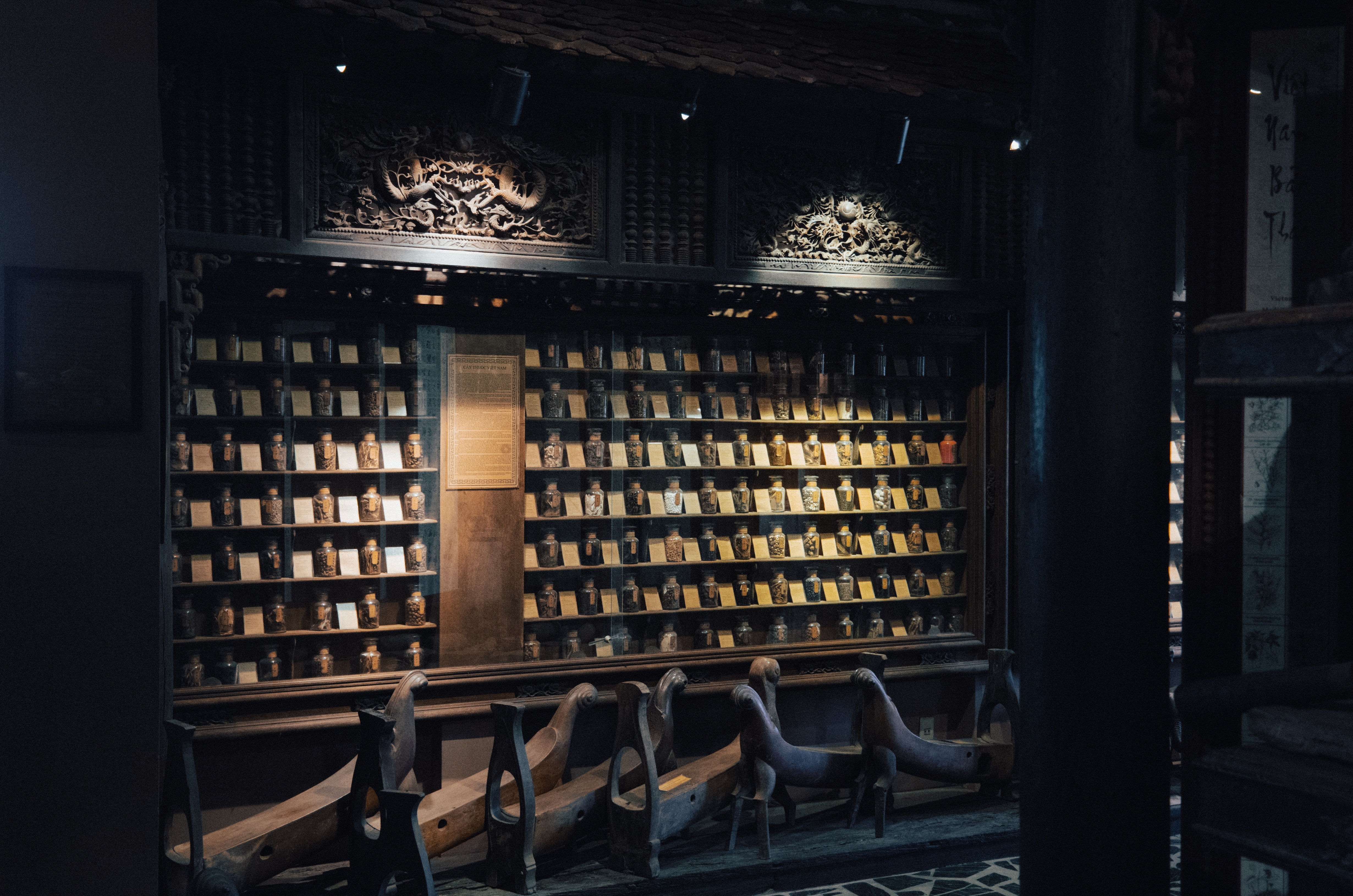 FITO Museum anh 11