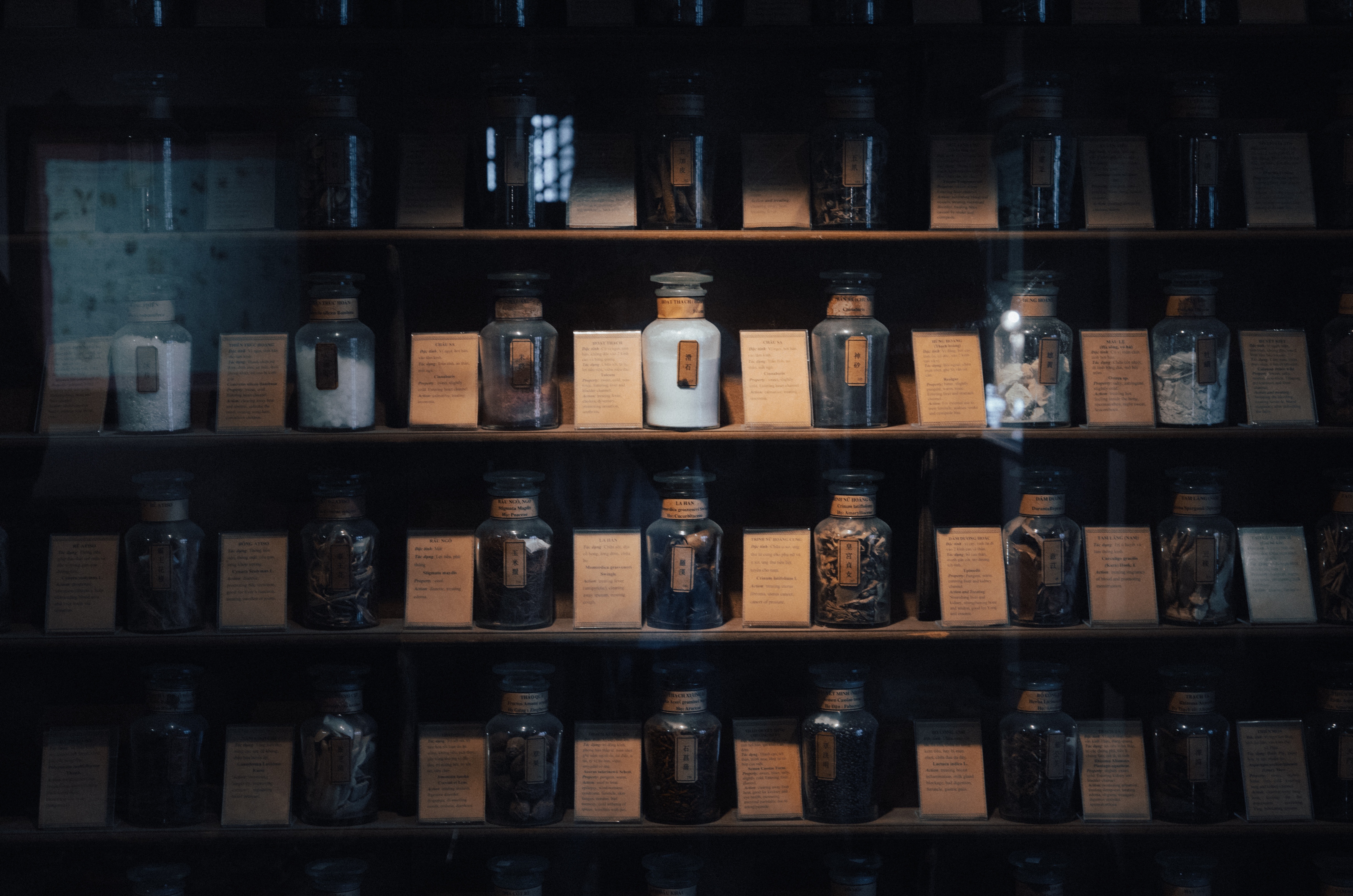 FITO Museum anh 18
