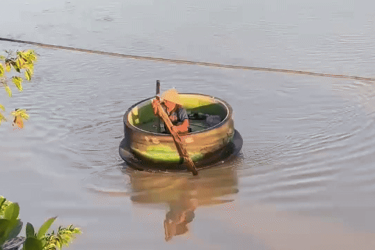 Tim 'chen tra' o Thai Nguyen bi lu cuon hinh anh