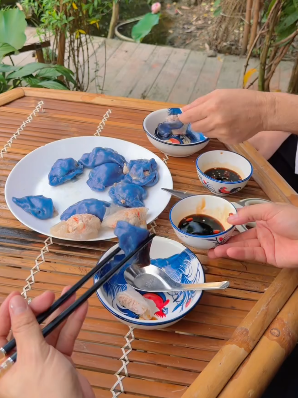 Huynh Anh Tuan anh 5
