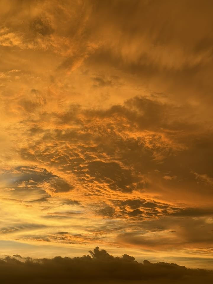 Hà Nội vàng rực ảnh 2 Ha Noi vang ruc anh 2