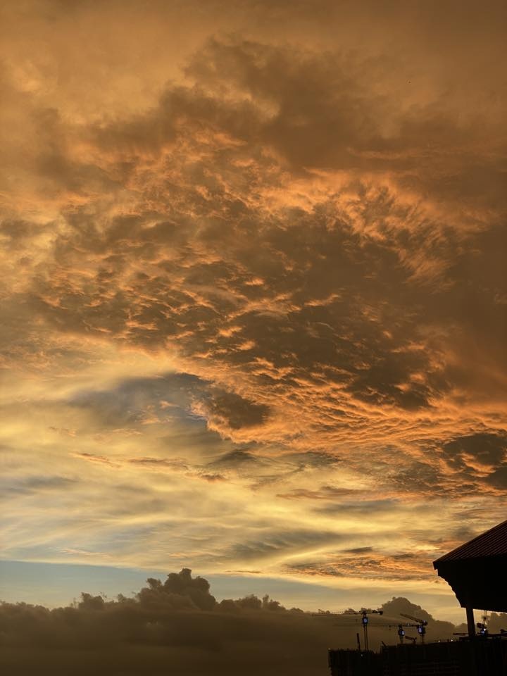 Hà Nội vàng rực ảnh 3 Ha Noi vang ruc anh 3