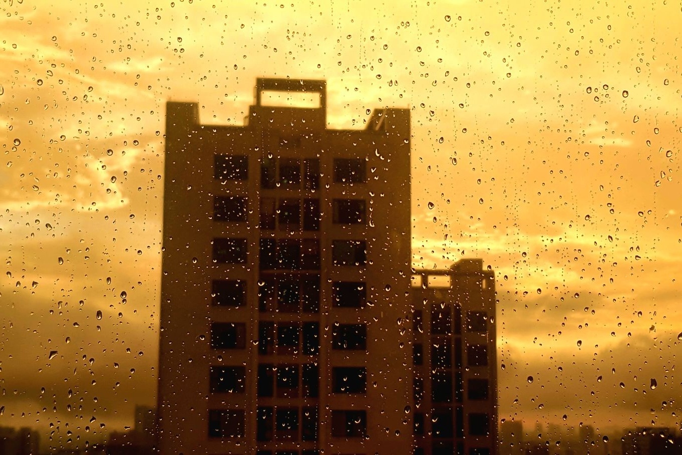 Ha Noi vang ruc anh 5