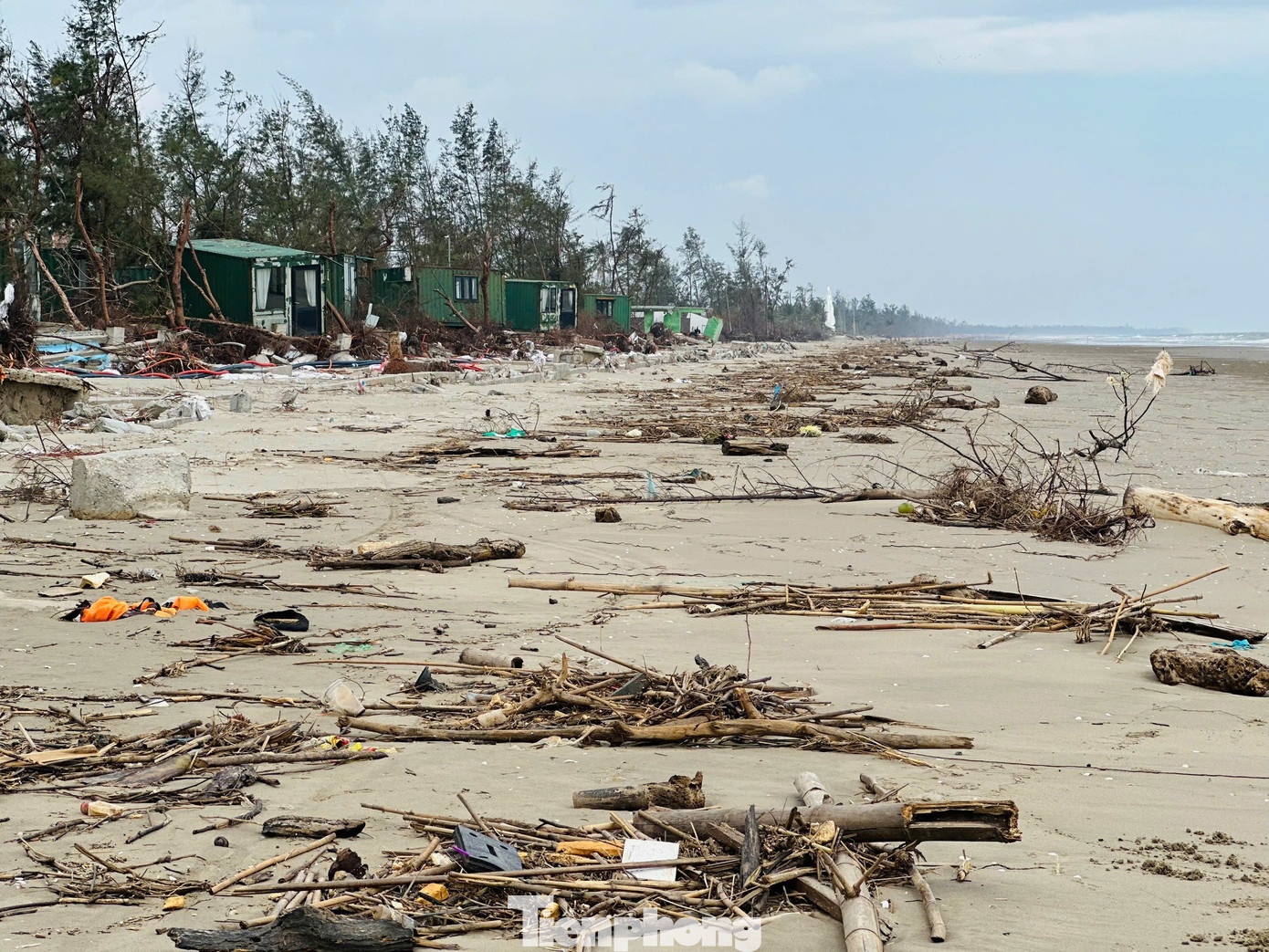 khu nghi duong container anh 4