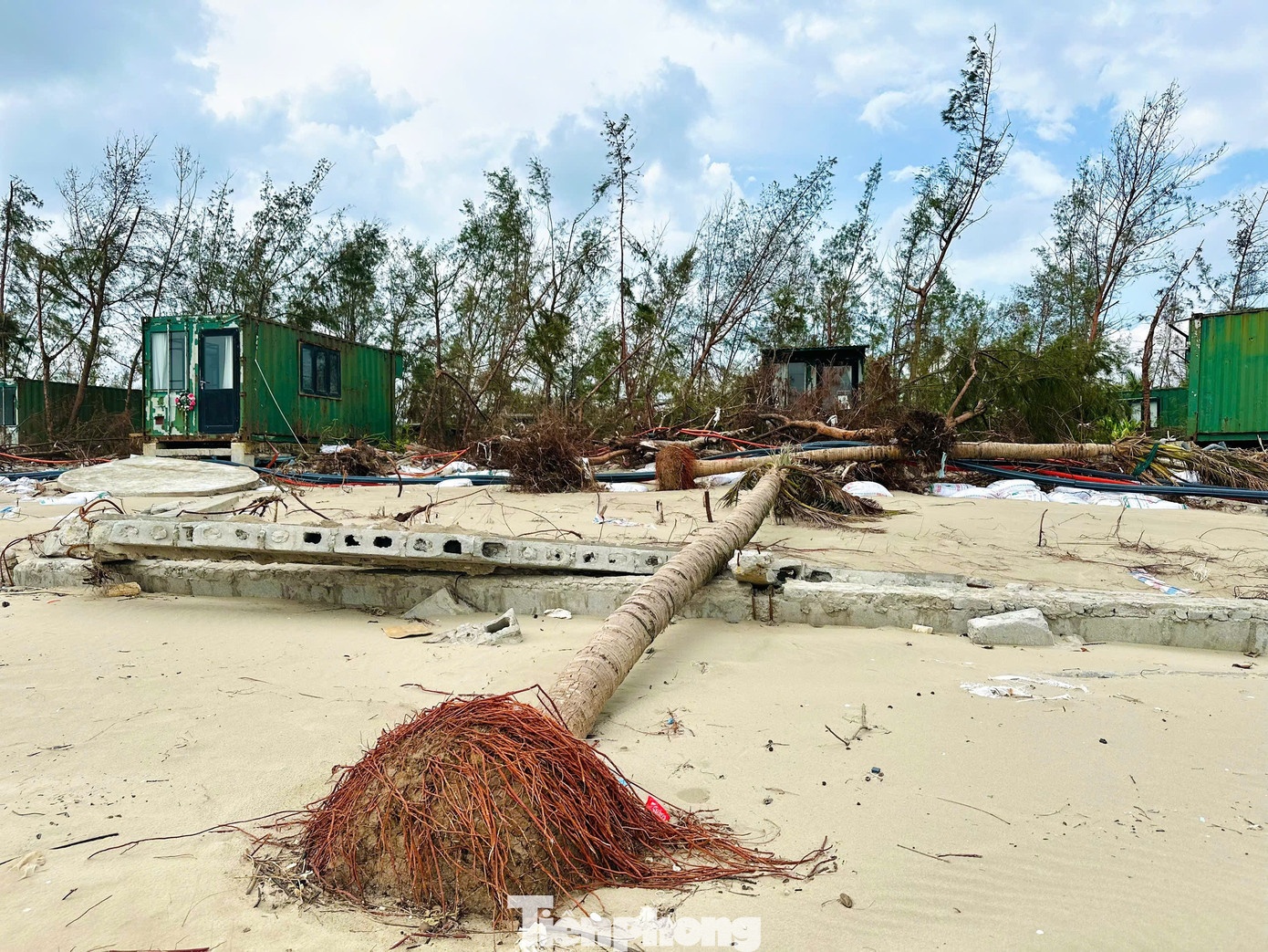 khu nghi duong container anh 6