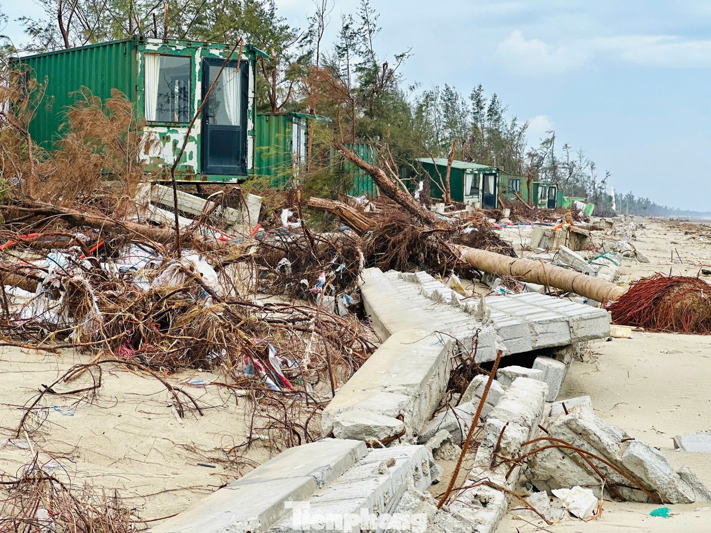 khu nghi duong container anh 7