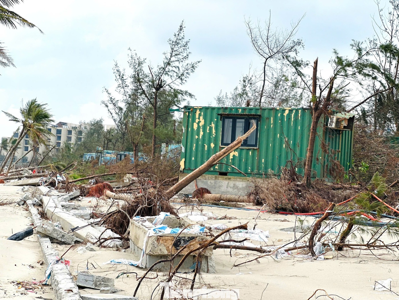 Canh tan hoang tai khu nghi duong container view bien o Ha Tinh hinh anh