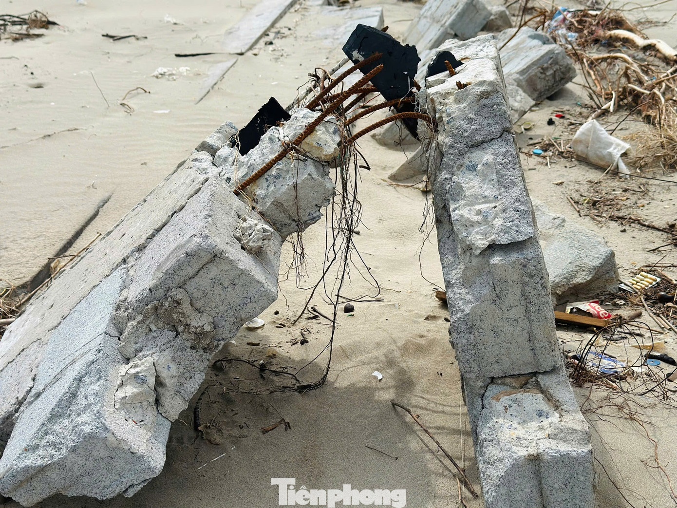 khu nghi duong container anh 9