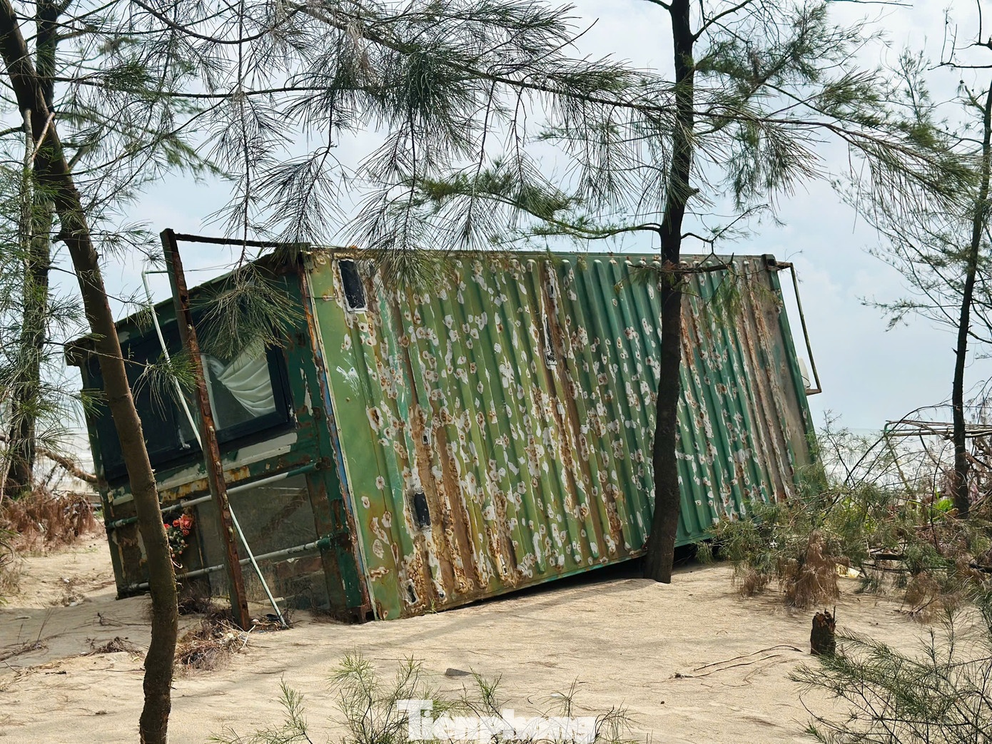 khu nghi duong container anh 10