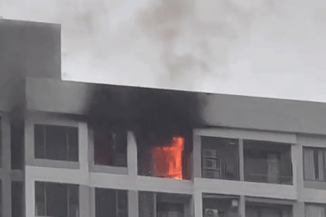 Chay can ho chung cu o TP.HCM hinh anh