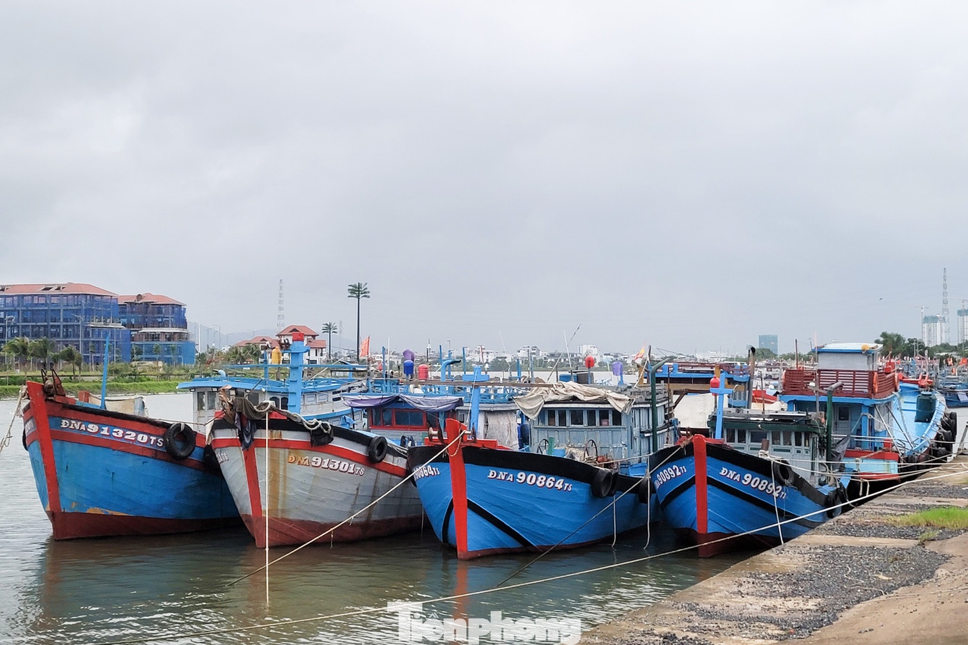 bão số 12 ảnh 13 bao so 12 anh 13