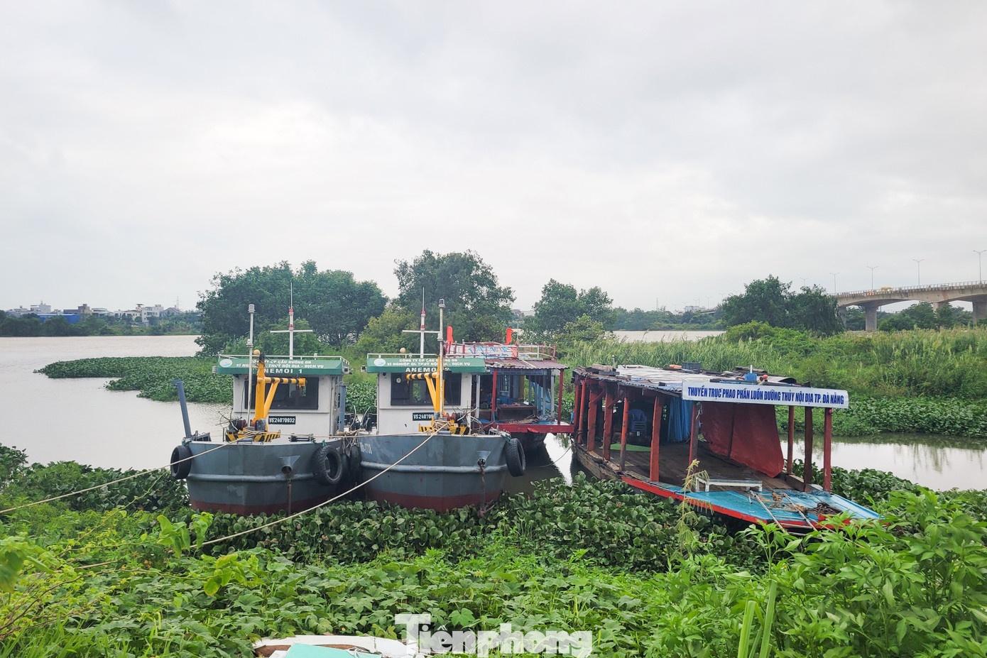 bão số 12 ảnh 12 bao so 12 anh 12